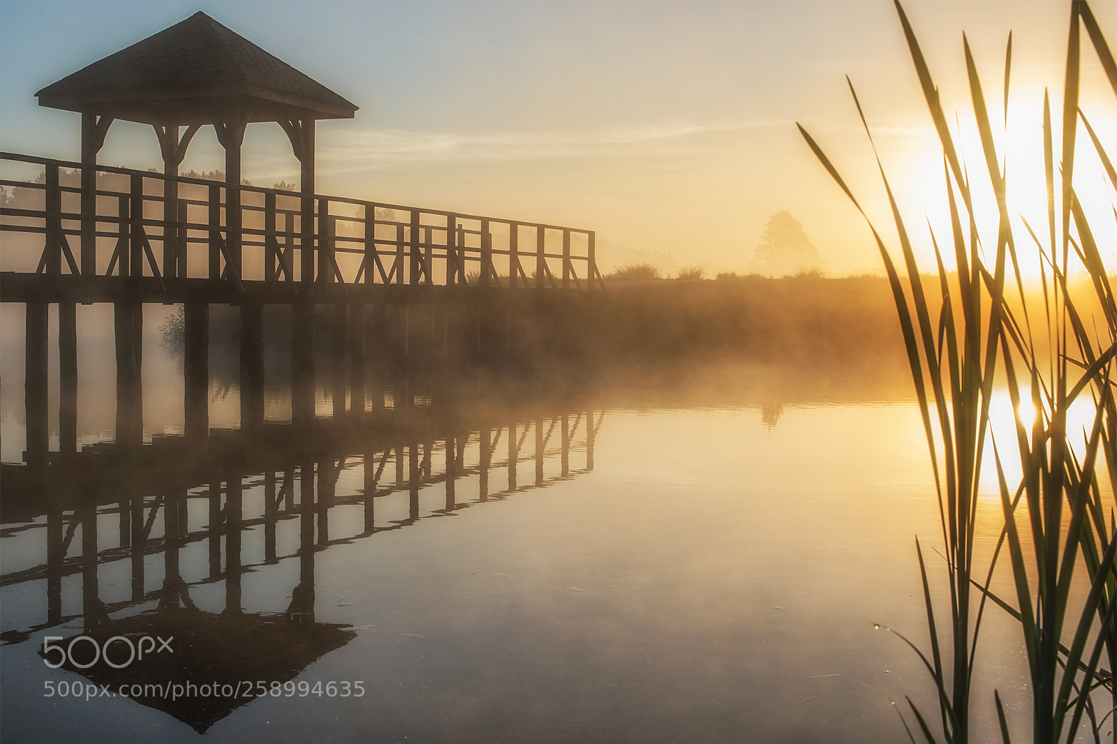 Nikon D610 sample photo. Misty lake photography