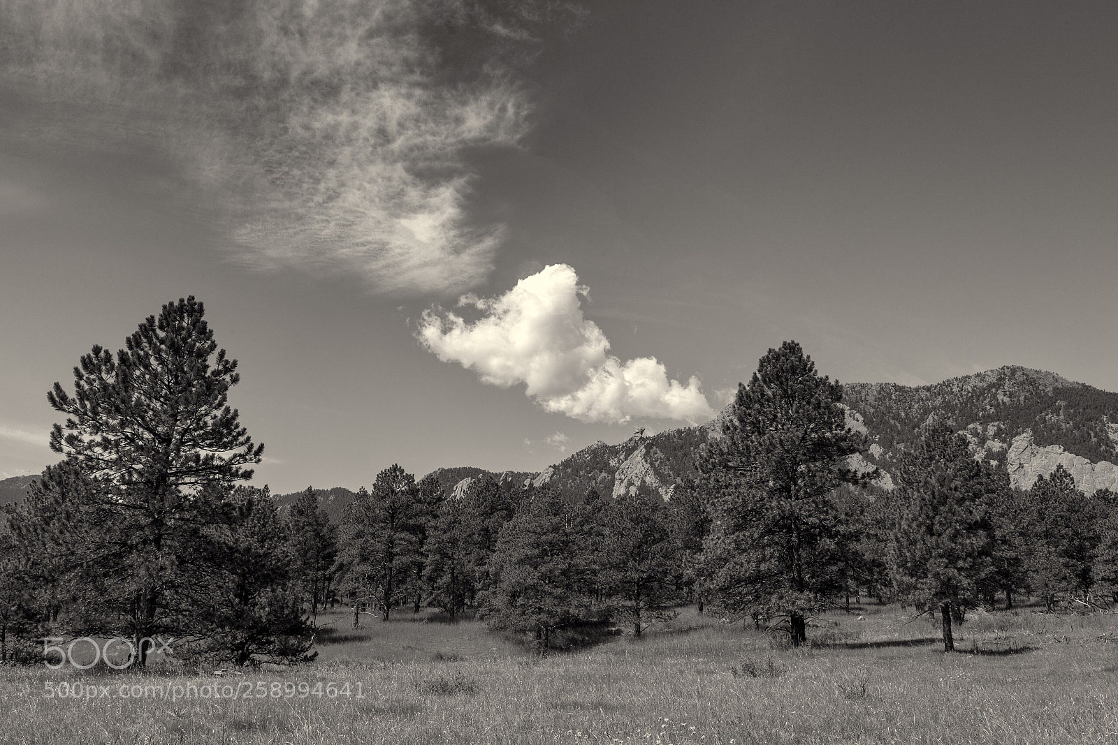 Canon EOS 5D Mark II sample photo. Clouds rising up photography