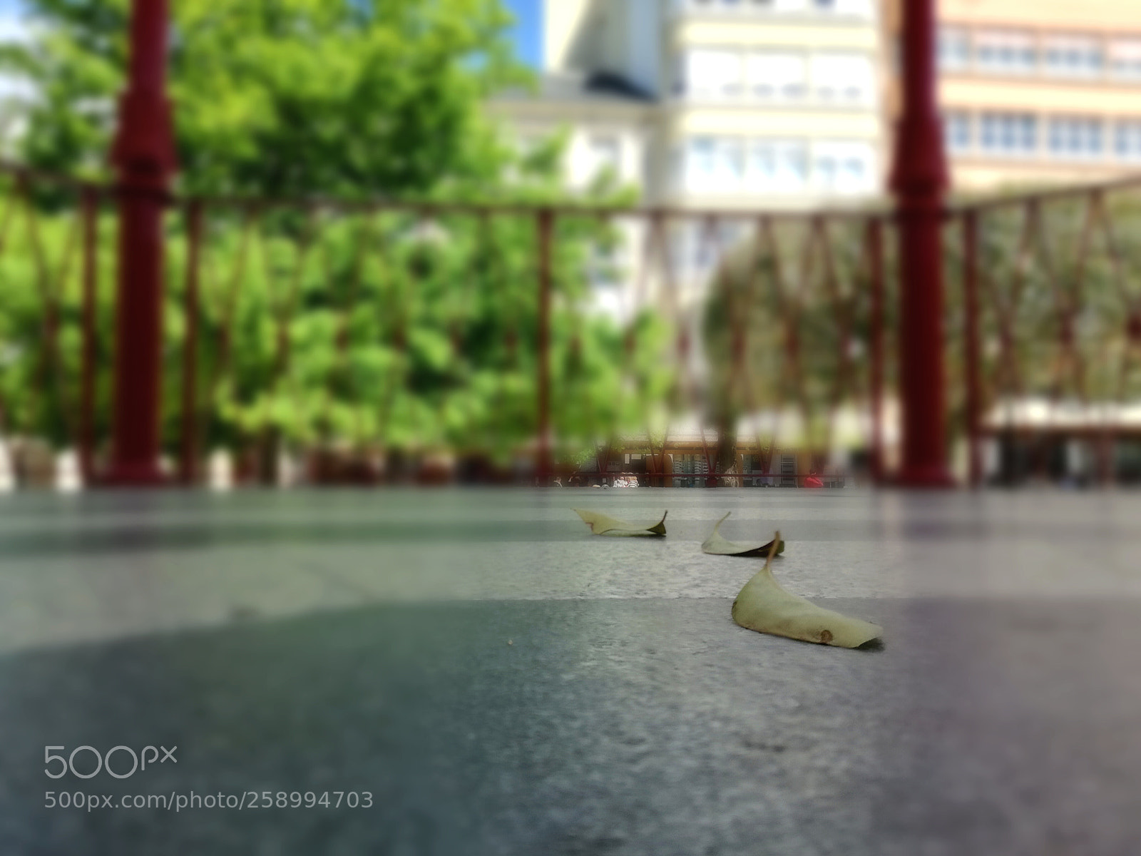 HUAWEI P9 LITE sample photo. Tres elementos photography