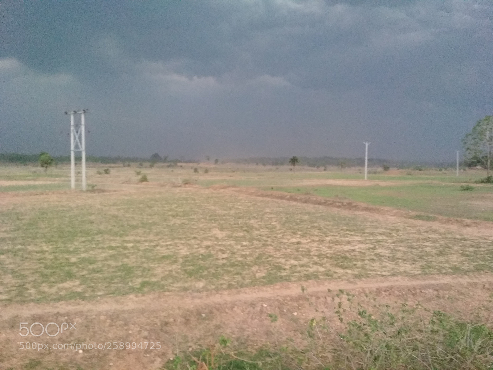 Xiaomi Redmi 4 Pro sample photo. Untitled photography