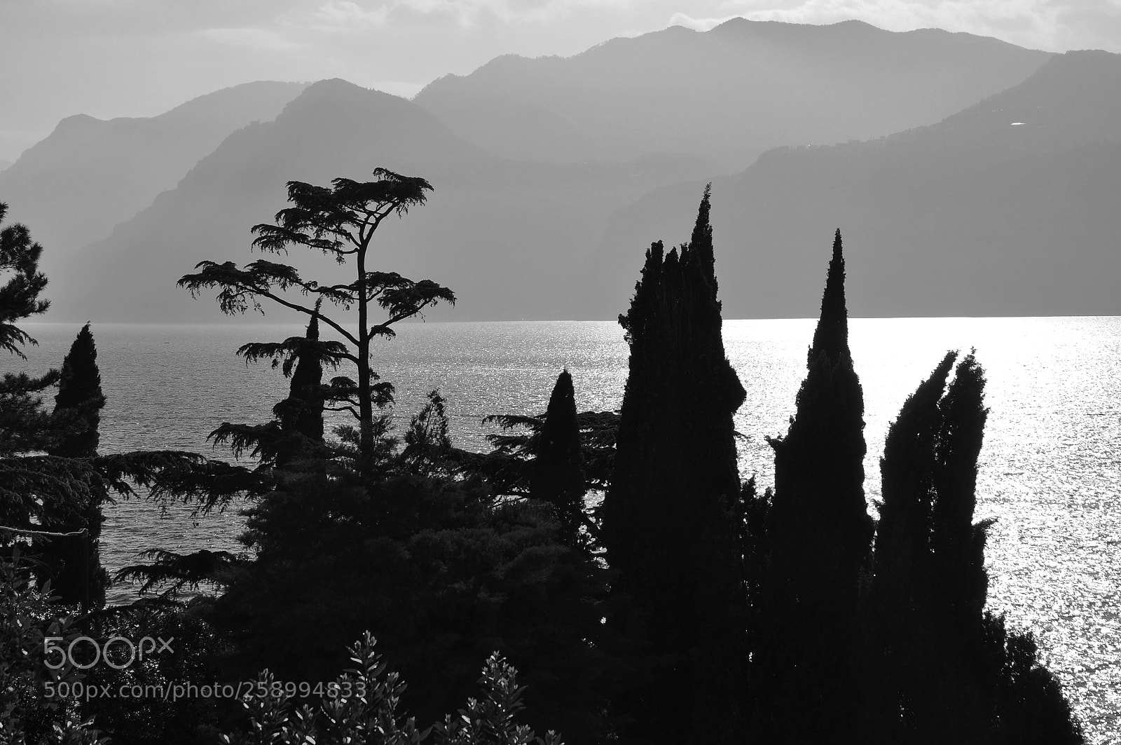 Nikon D90 sample photo. After midday photography