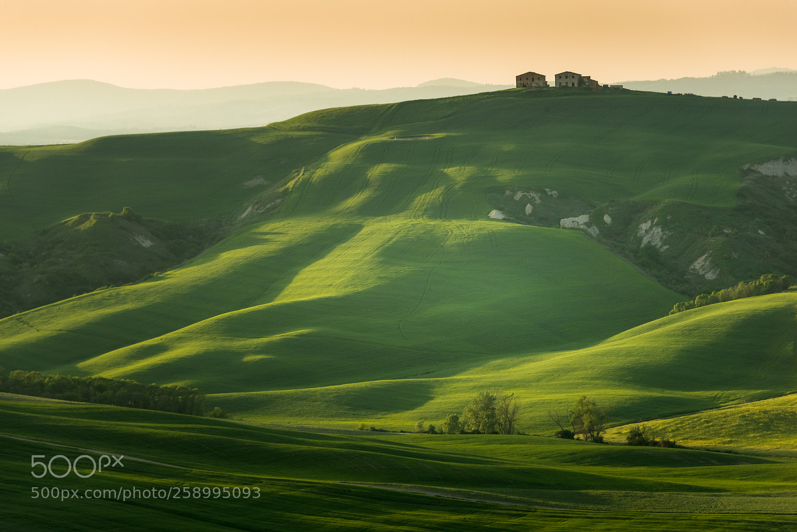 Nikon D800E sample photo. Crete senesi photography