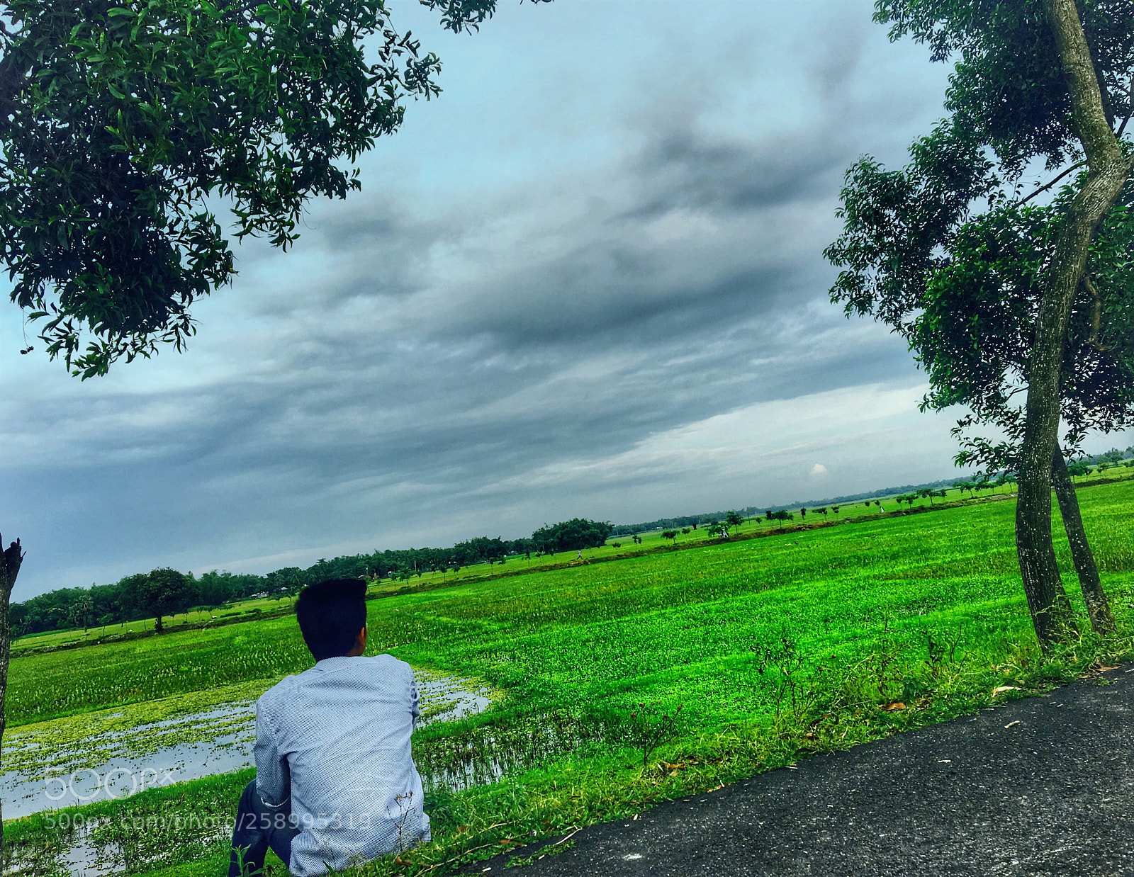 Apple iPhone 6s sample photo. Untitled photography