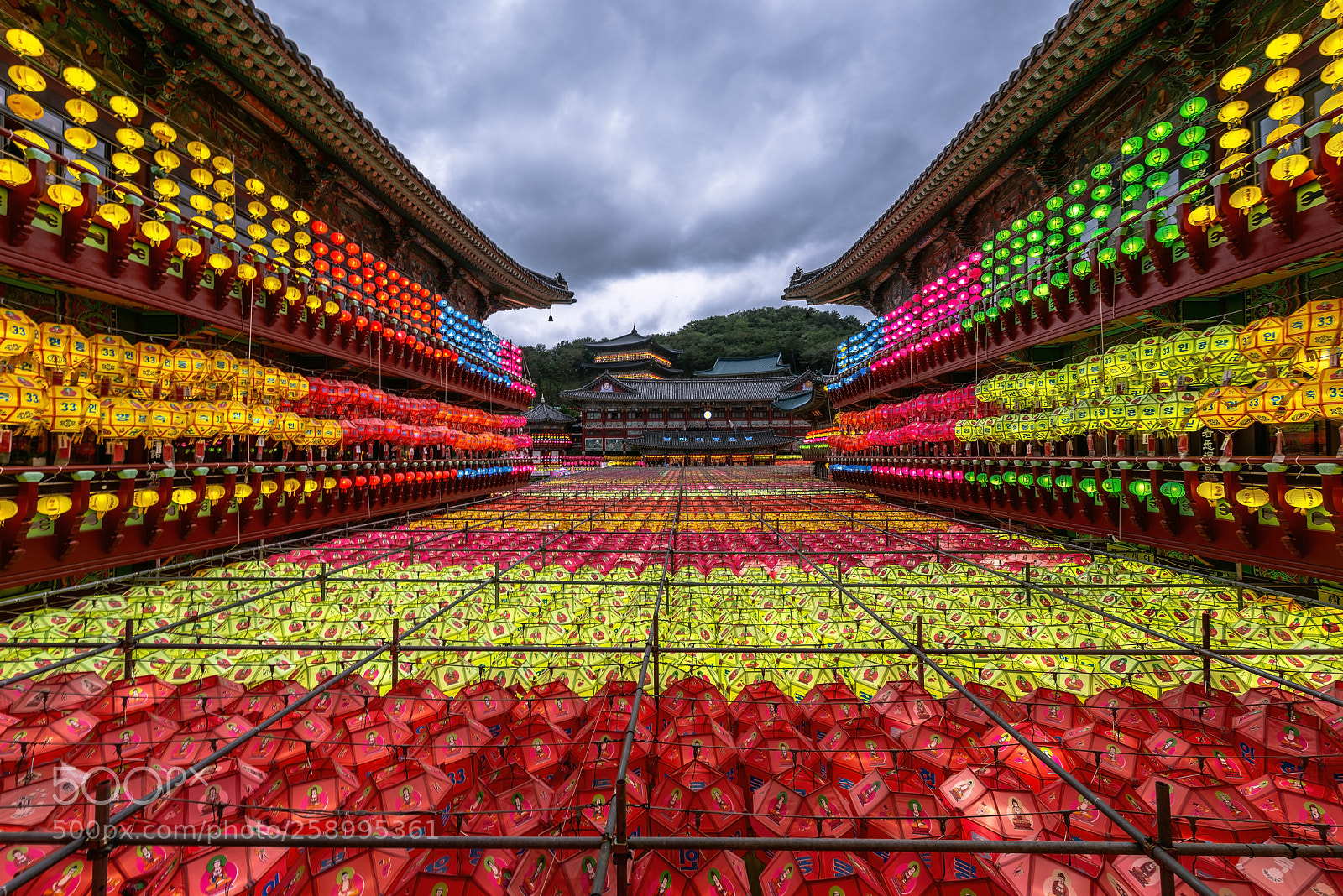 Nikon D800 sample photo. Lotus lantern festival on photography