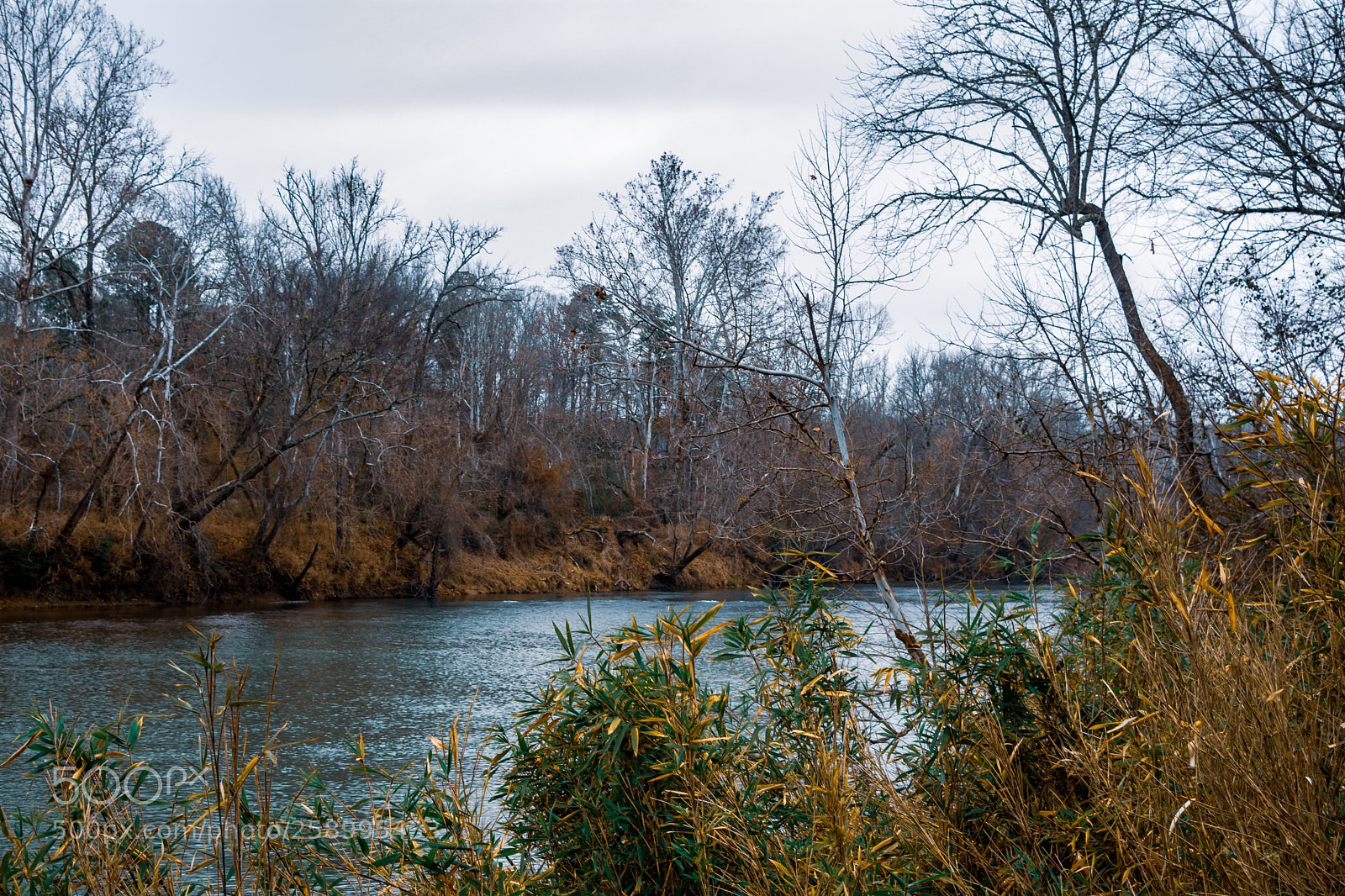 Nikon D7200 sample photo. Riverside photography