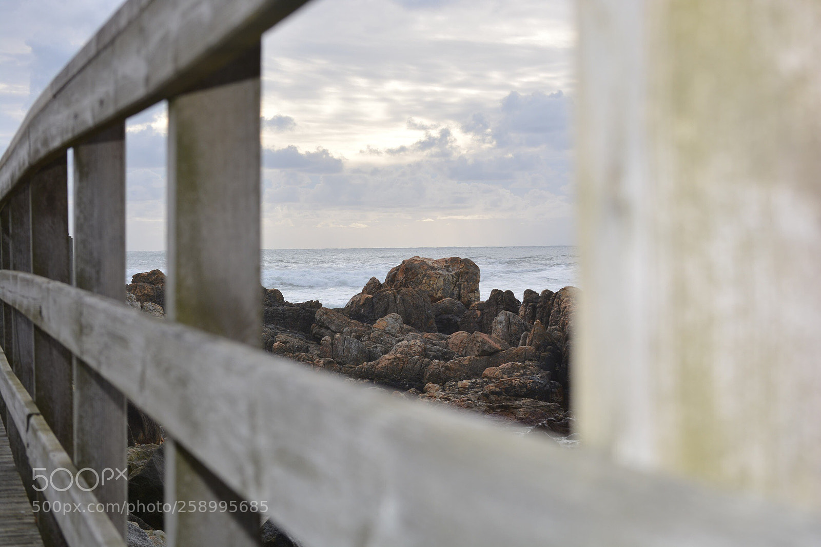 Nikon D5200 sample photo. Untitled photography