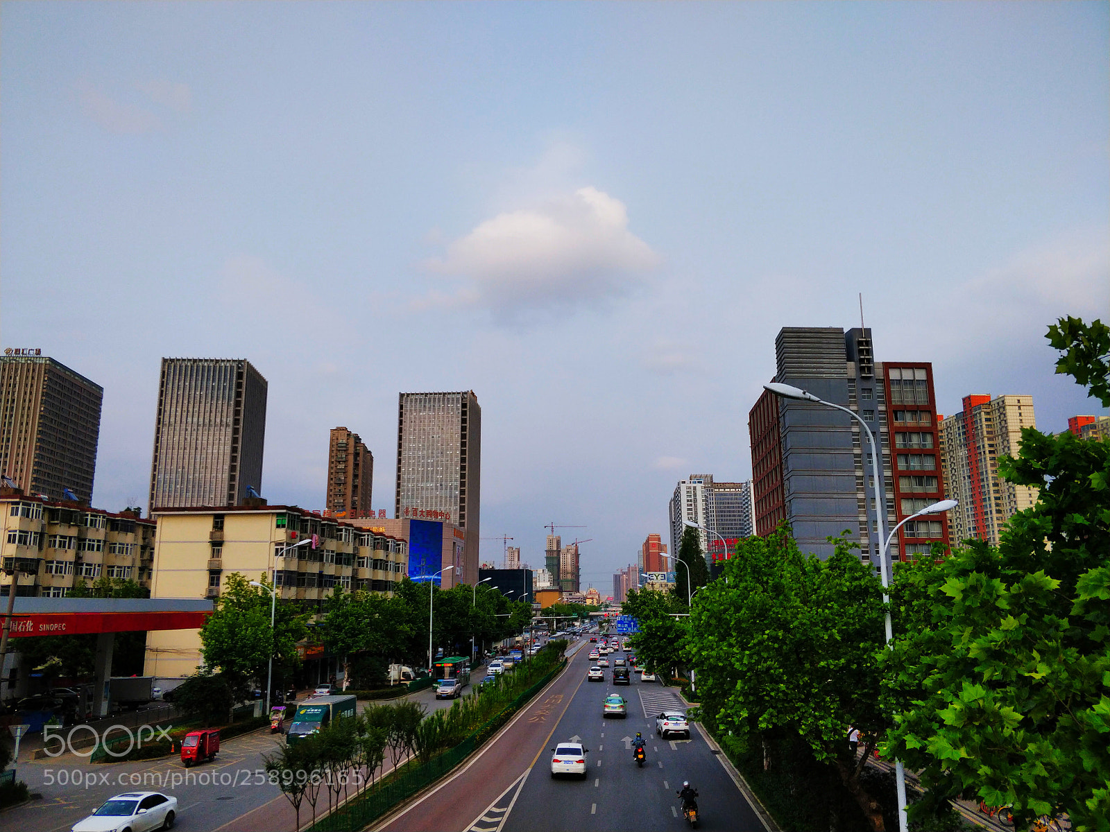 OnePlus 5 sample photo. 棉花糖 photography