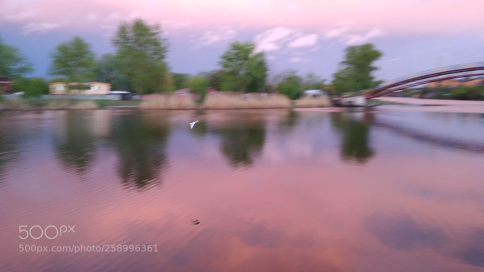 Xiaomi Redmi 4 Pro sample photo. Untitled photography
