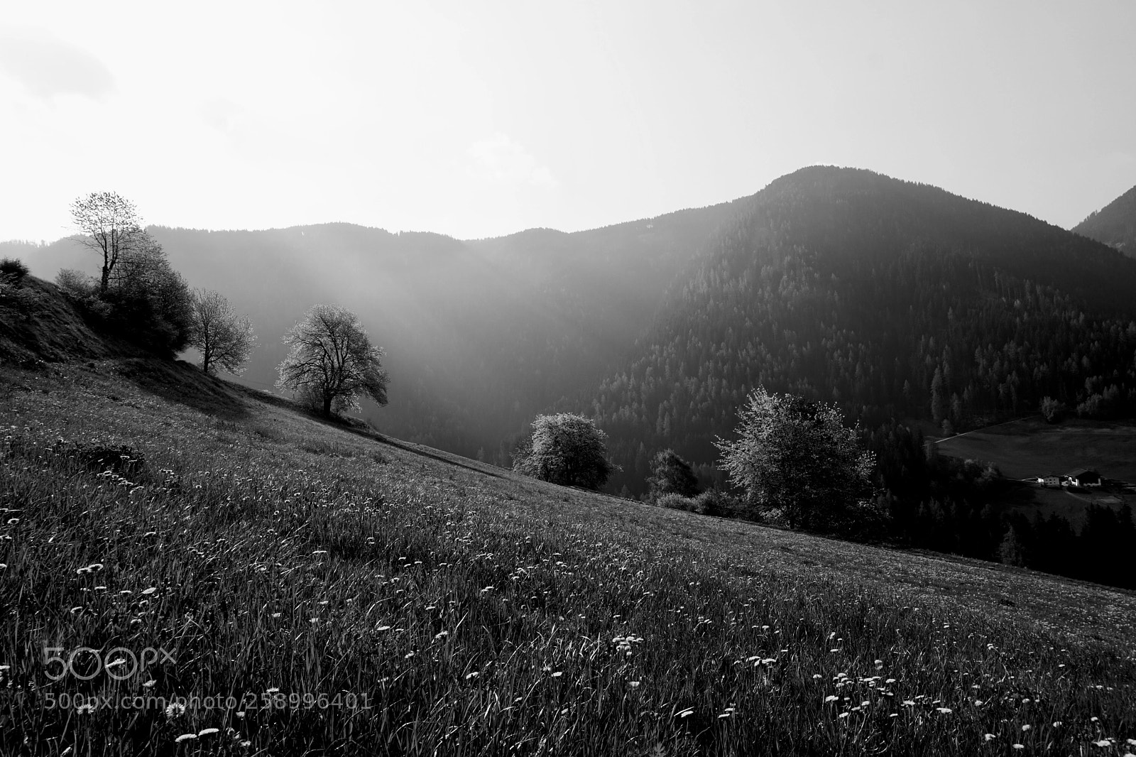 Sony a6000 sample photo. Mountain morning photography
