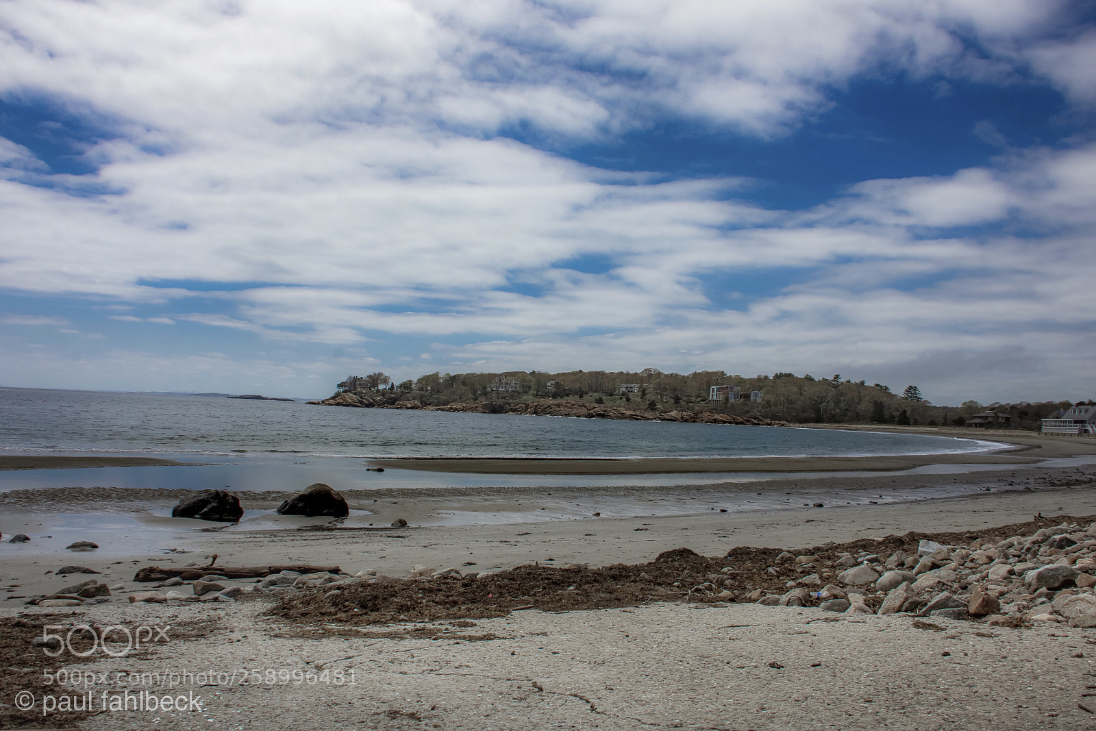 Nikon D7200 sample photo. Magnolia  photography