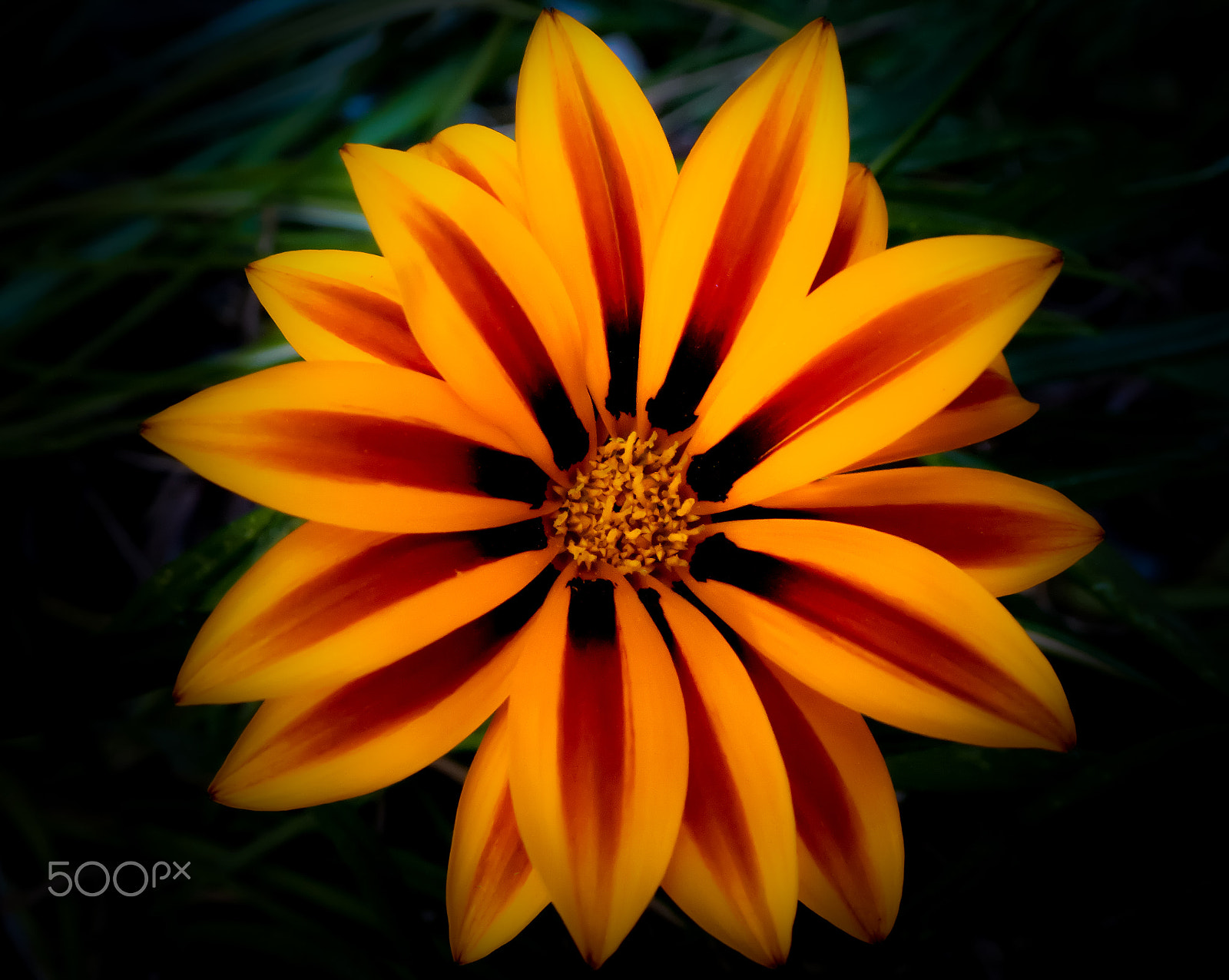Panasonic Lumix DMC-ZS60 (Lumix DMC-TZ80) sample photo. Beautiful nature photography