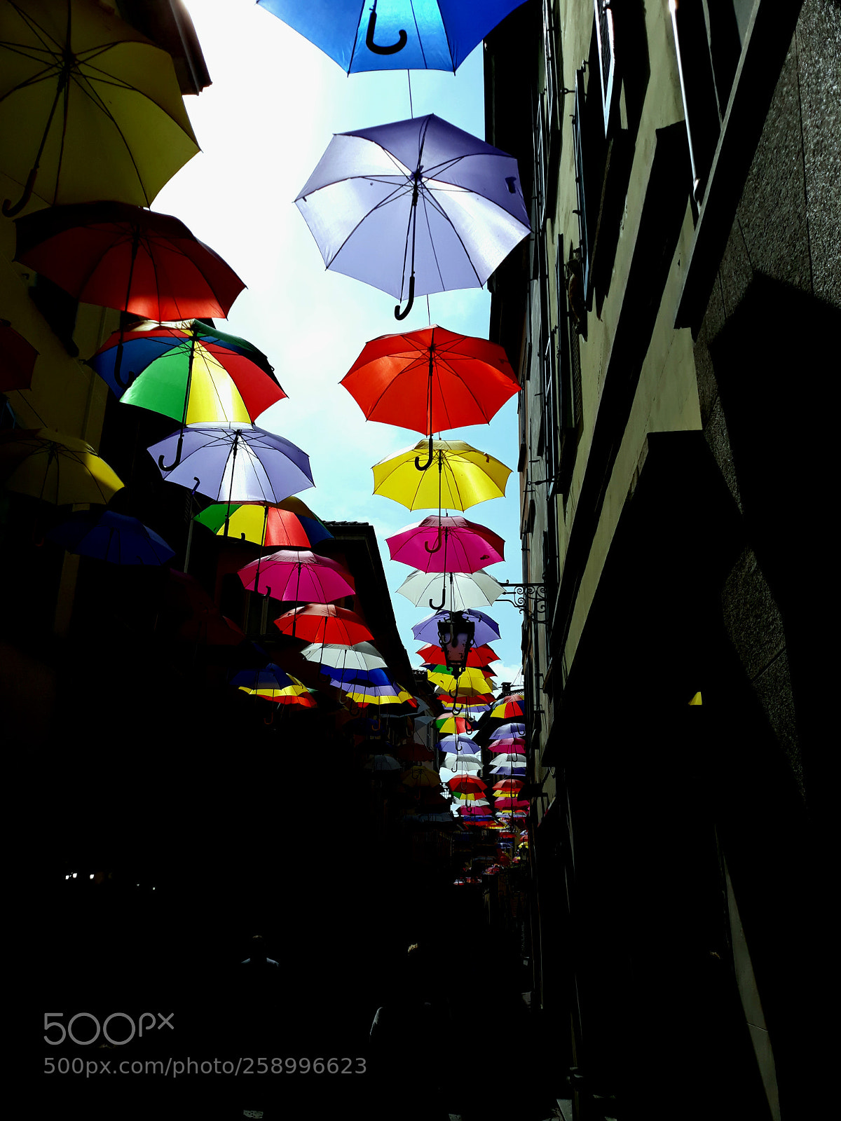 Samsung Galaxy J5 sample photo. Gioia di colori photography