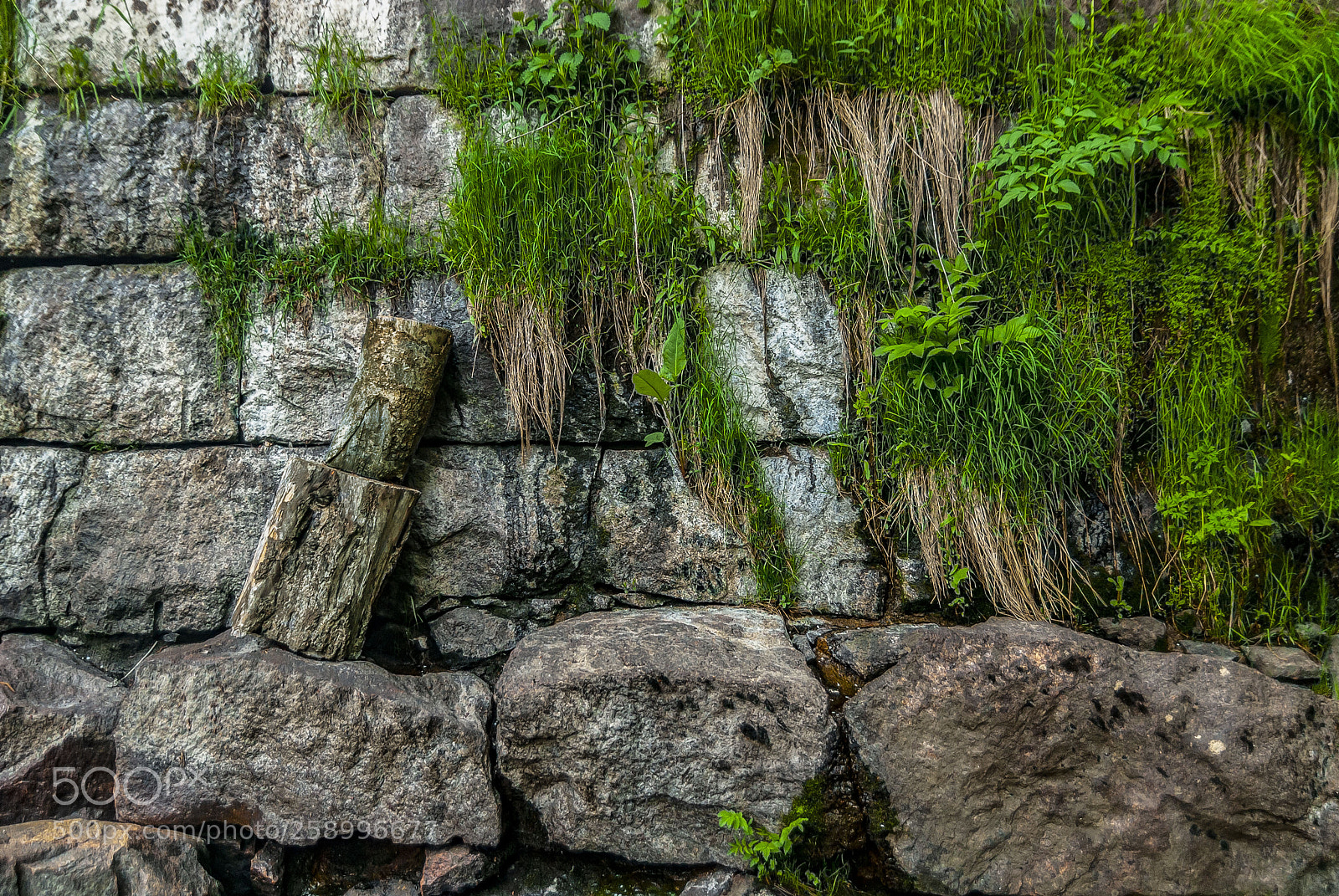 Nikon D80 sample photo. Old wall photography