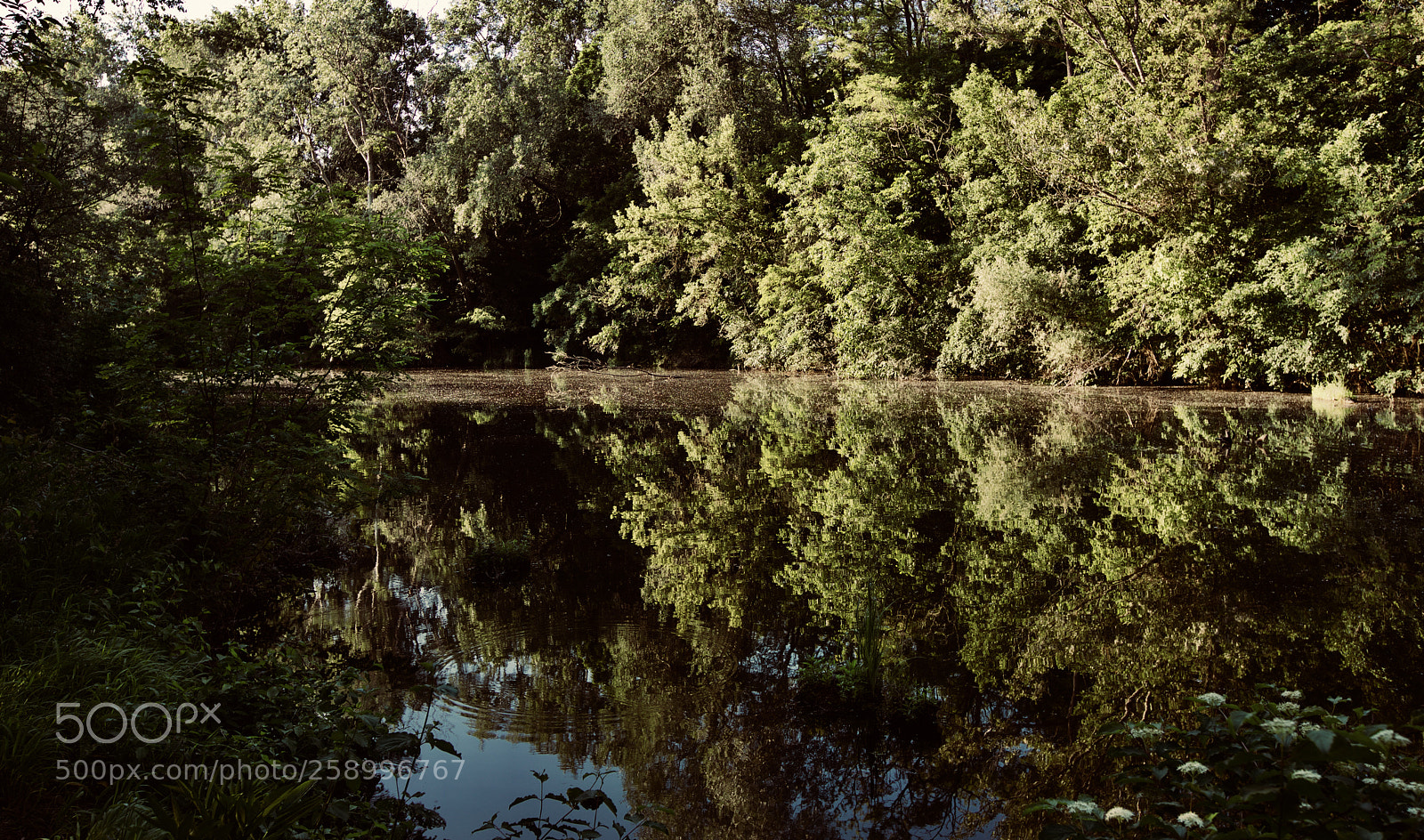 Canon EOS 5D Mark IV sample photo. Mirror photography