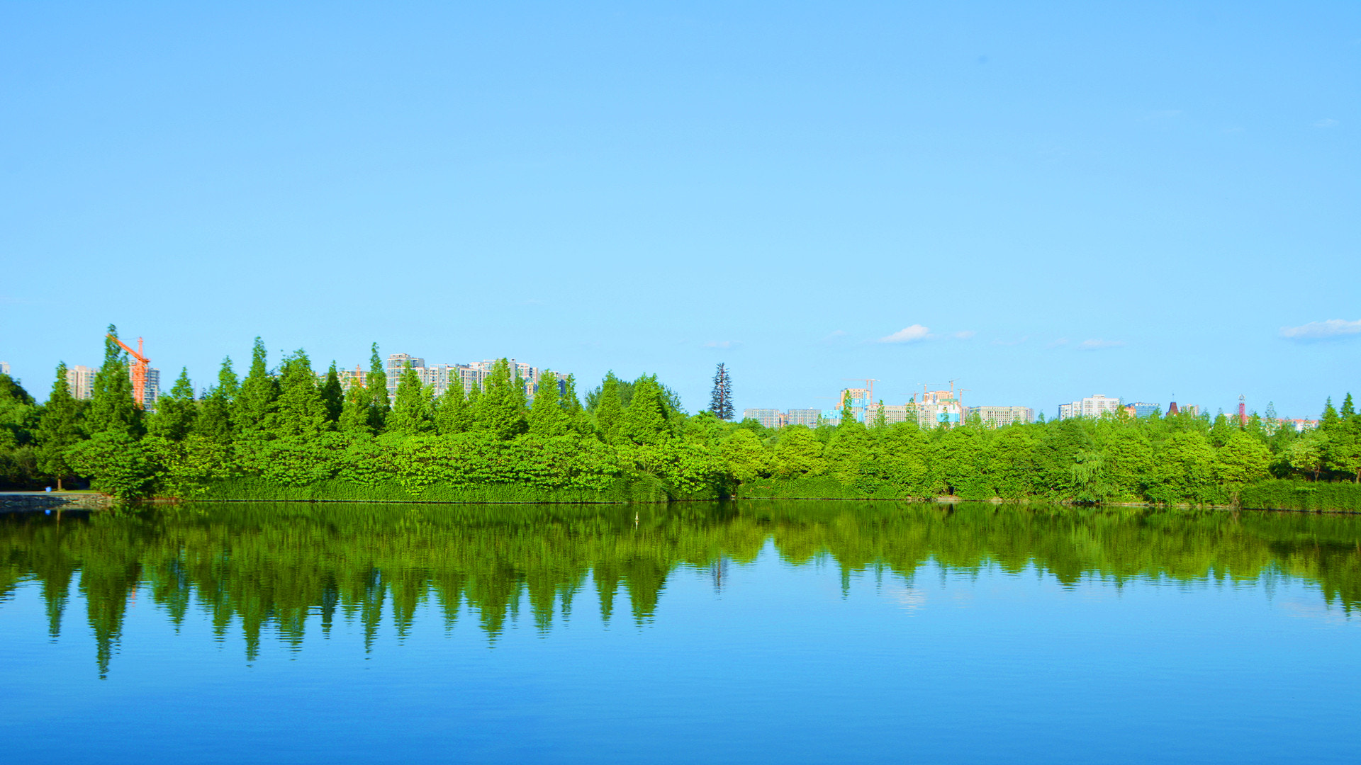 Nikon D7100 sample photo. 蓝 photography