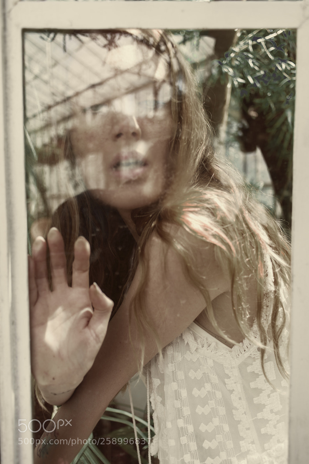 Nikon D800 sample photo. Reflexes photography