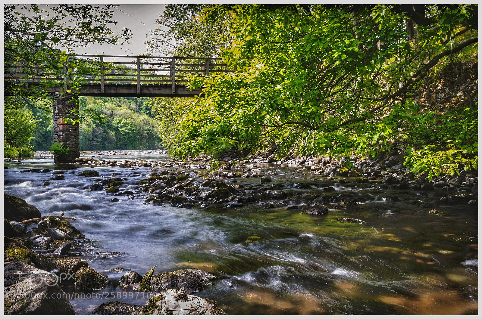 Nikon D610 sample photo. Bridge over calming waters photography