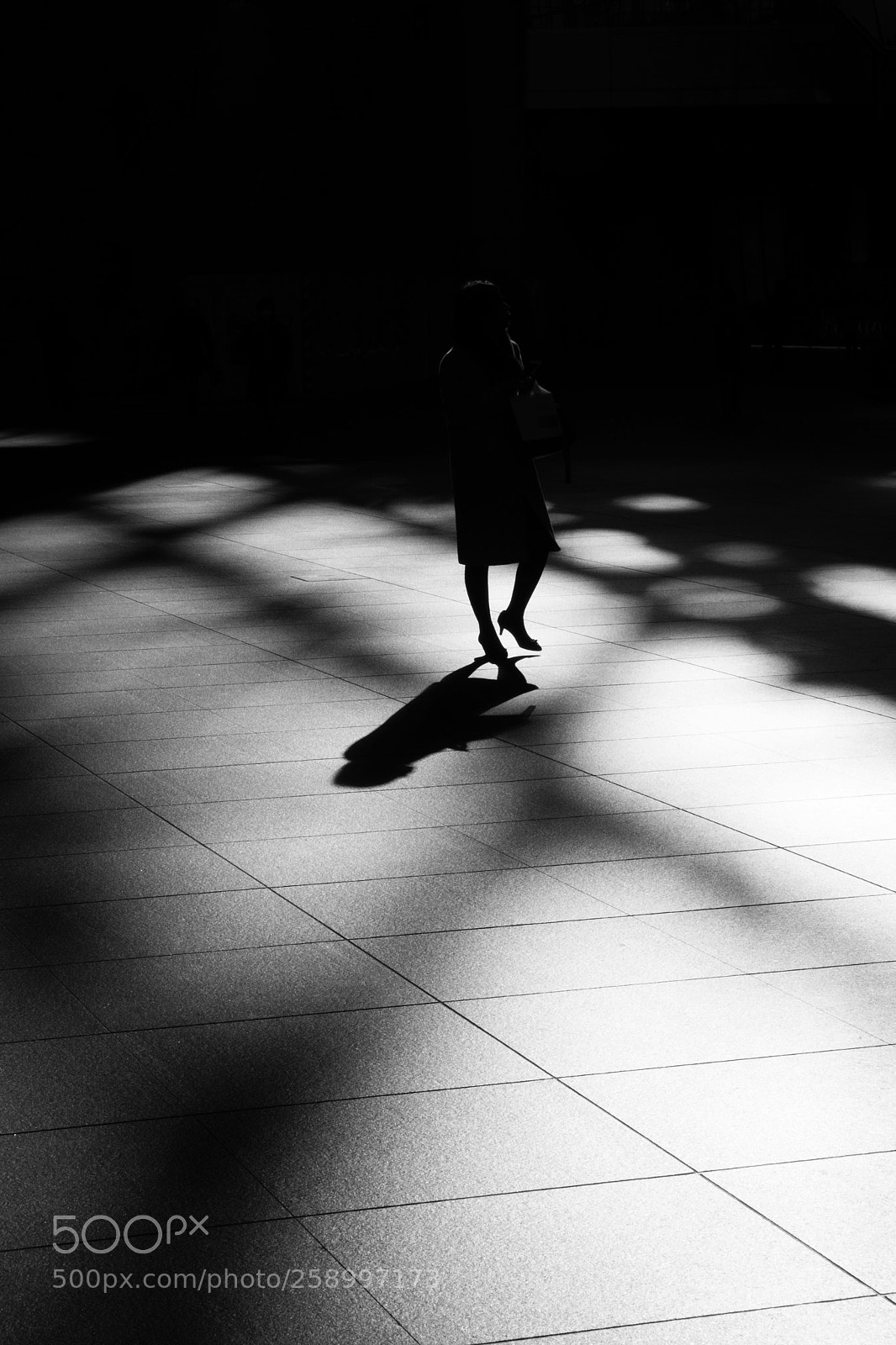 Fujifilm X-Pro2 sample photo. Tokyo, japan photography