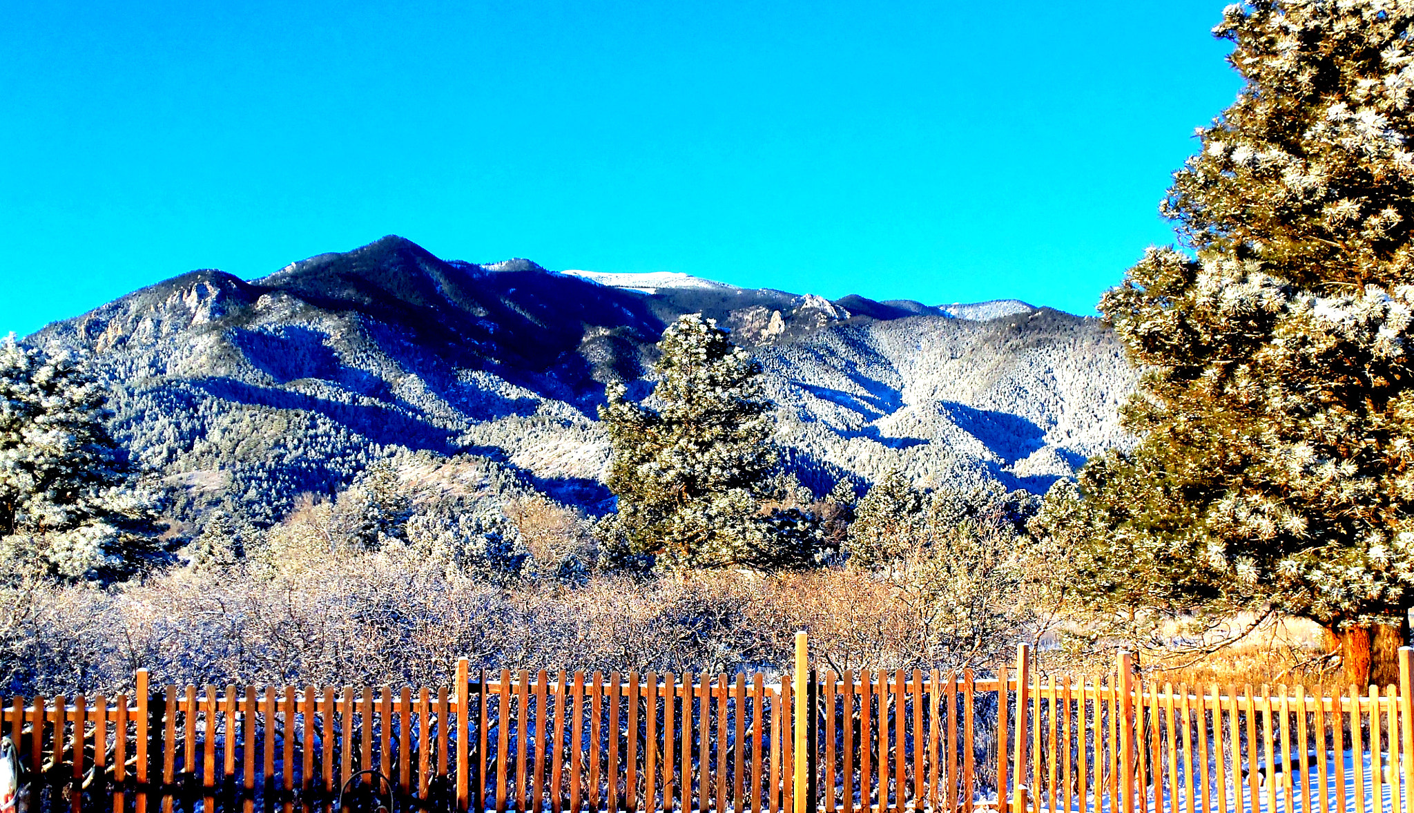 Kodak EASYSHARE M580 DIGITAL CAMERA sample photo. Backyard colorado photography