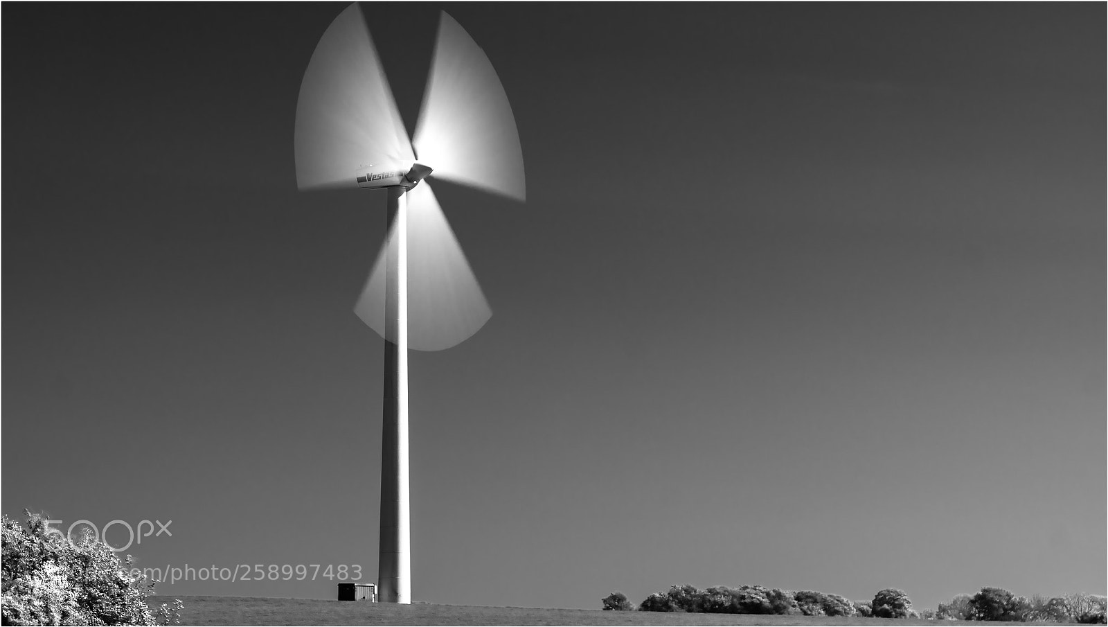 Sony ILCA-77M2 sample photo. Energy! photography