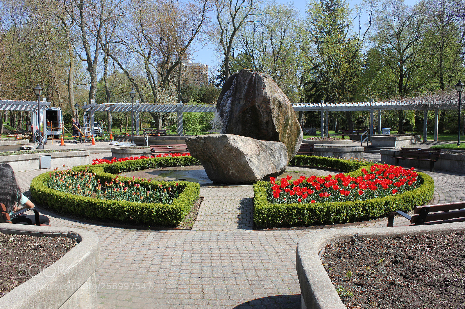Canon EOS 550D (EOS Rebel T2i / EOS Kiss X4) sample photo. Tulips rosetta mcclain gardens photography