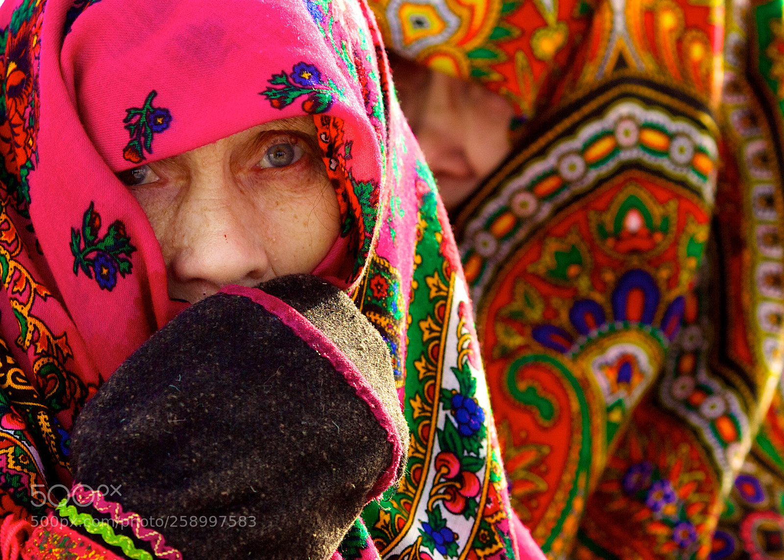 Canon EOS 5D Mark II sample photo. Untitled photography