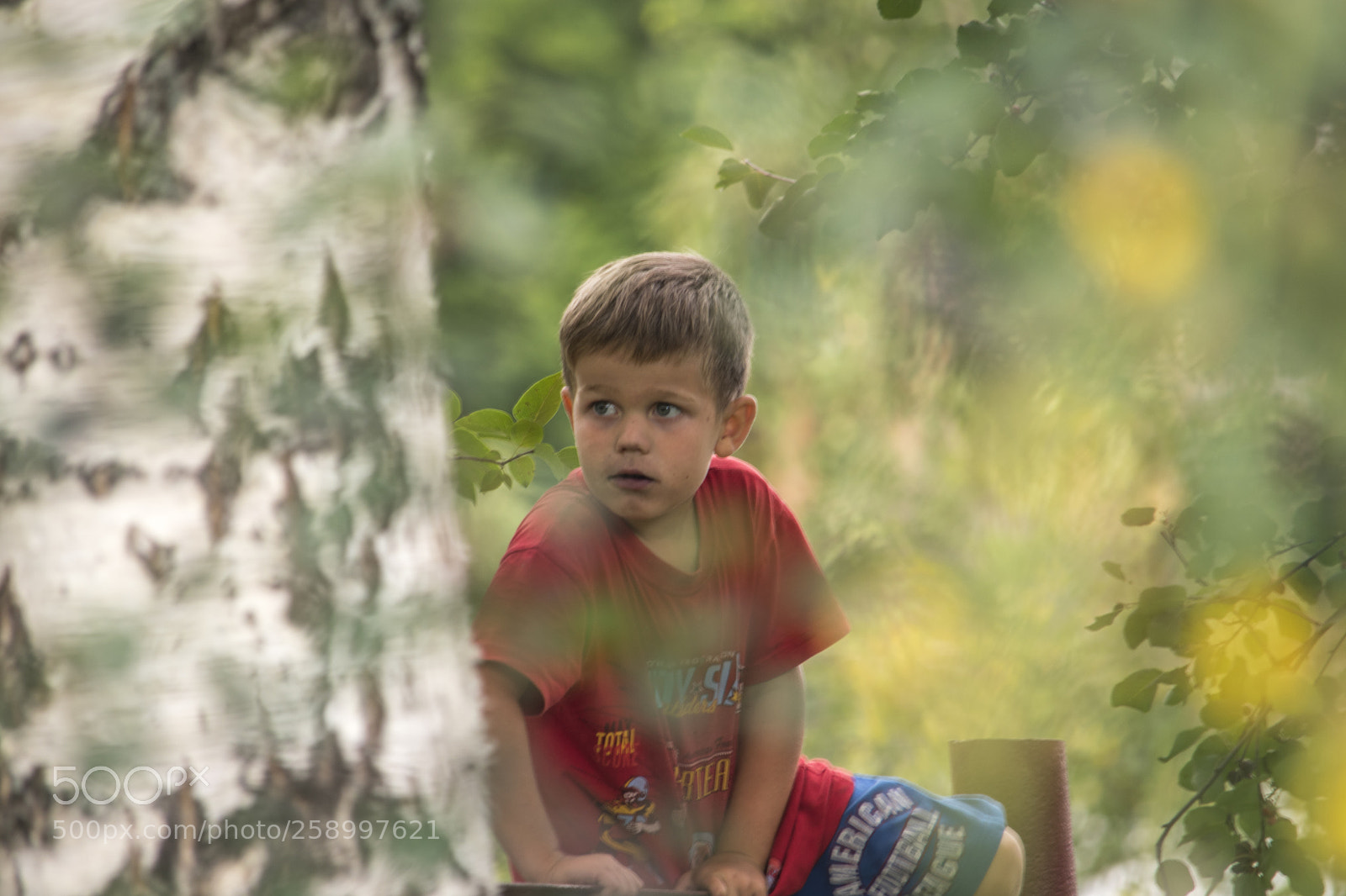 Nikon D5500 sample photo. Boy photography