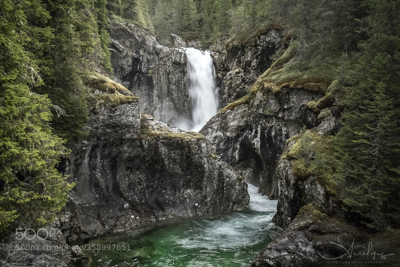 Canon EOS 6D Mark II sample photo. The water road photography