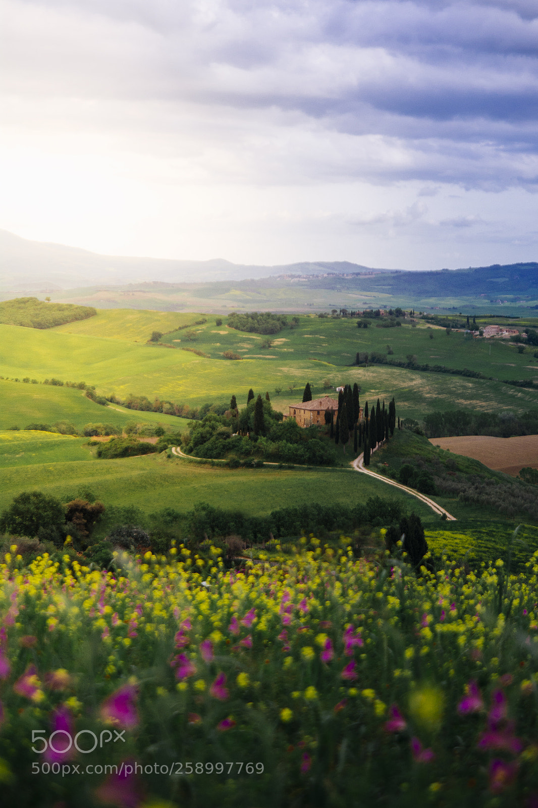 Nikon D7100 sample photo. Podere belvedere photography