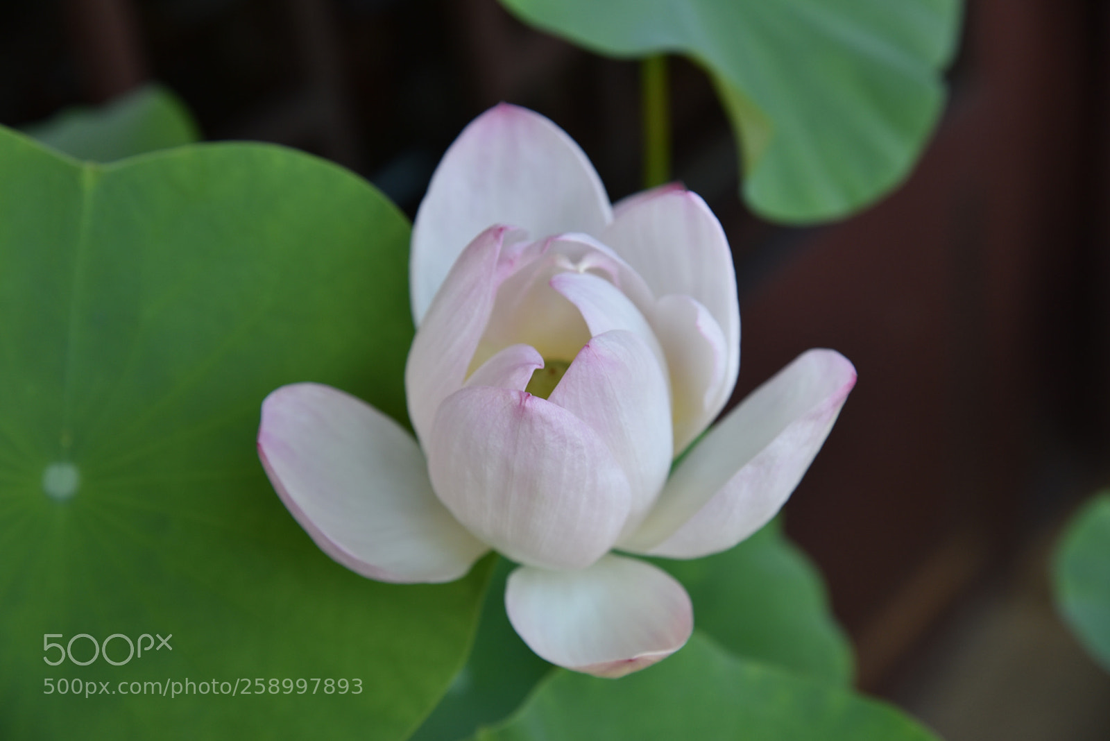Nikon AF-S Nikkor 24-120mm F4G ED VR sample photo. Untitled photography