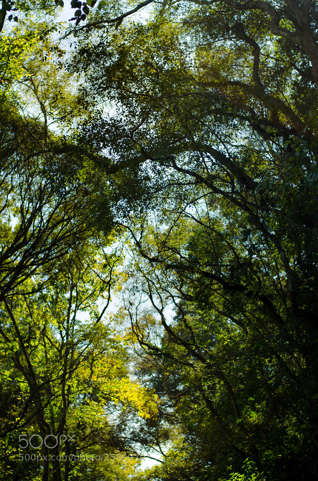 Nikon D7000 sample photo. Untitled photography