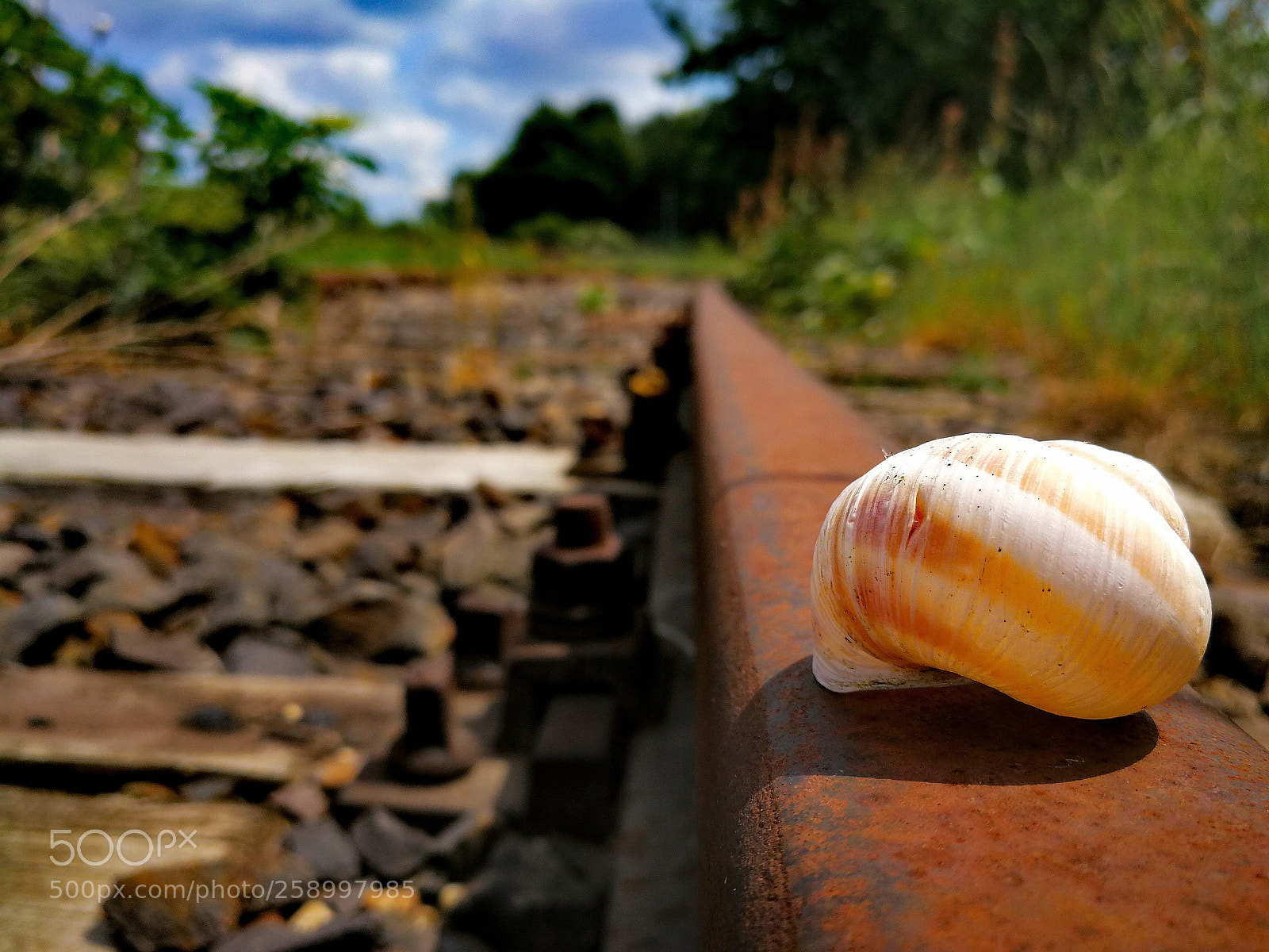HUAWEI Mate 9 sample photo. Snail rail photography