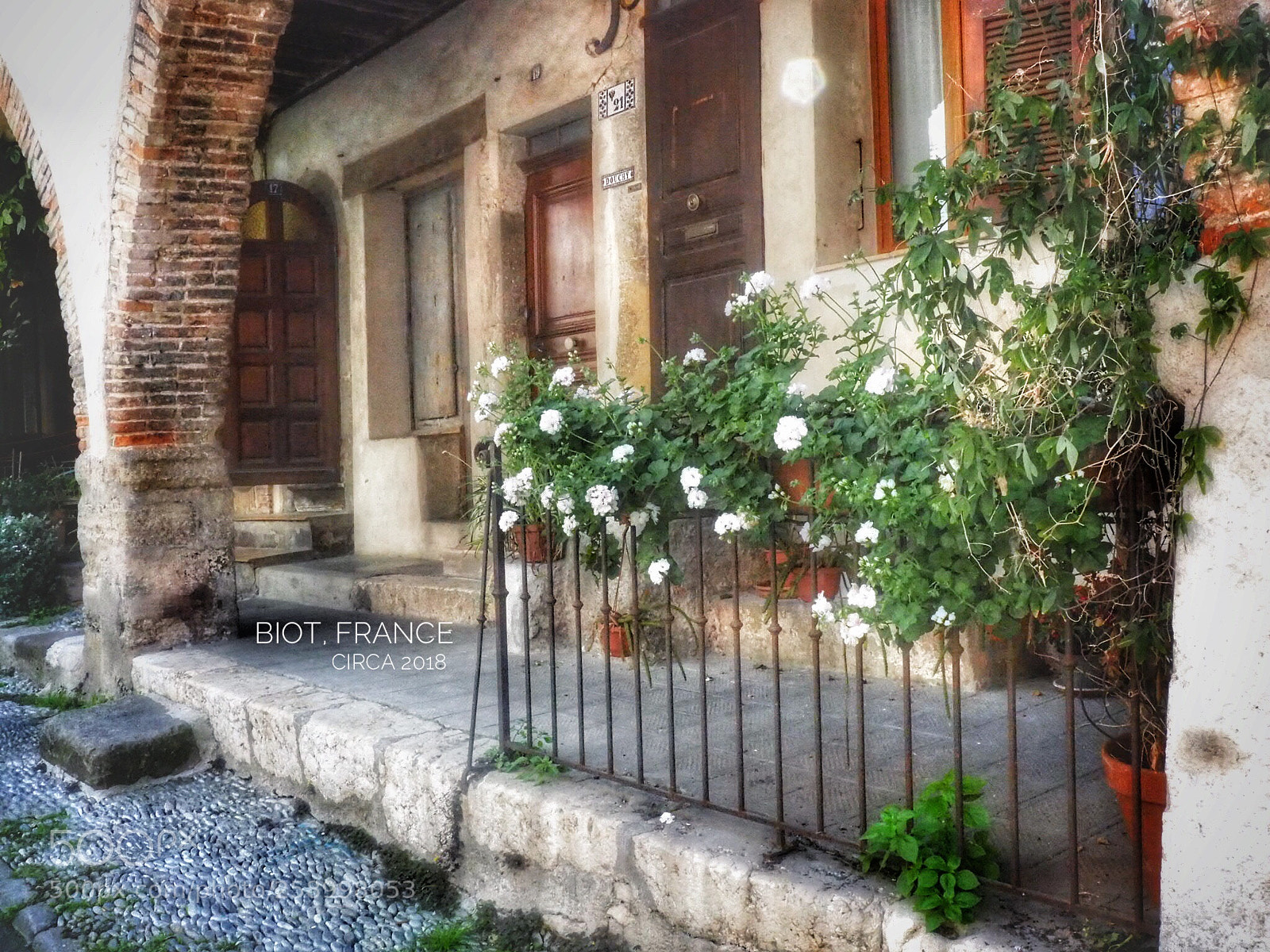 Olympus OM-D E-M5 II sample photo. Flowers by the door photography