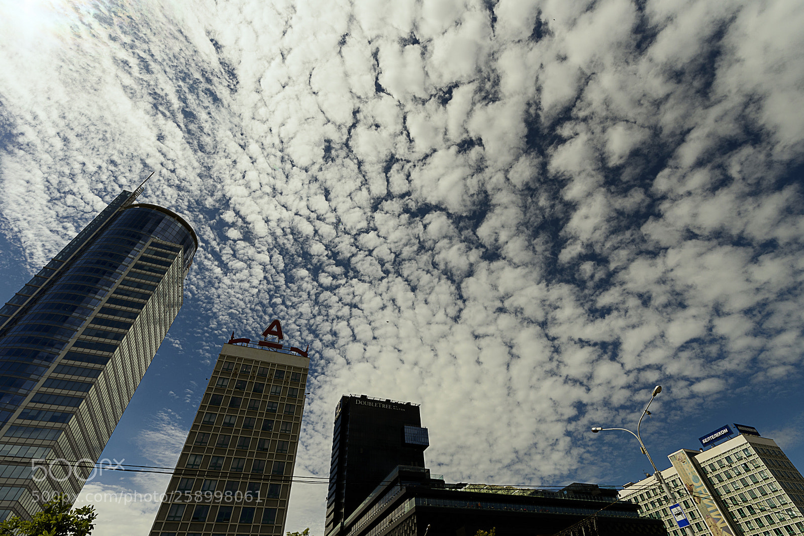 Nikon D750 sample photo. *** photography