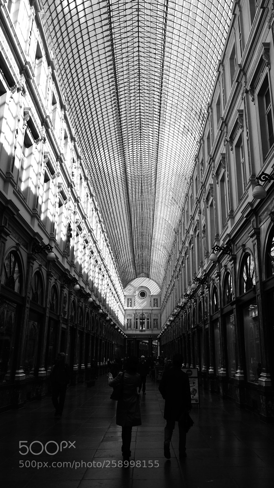 Nikon D5100 sample photo. Les galeries royales saint-hubert photography