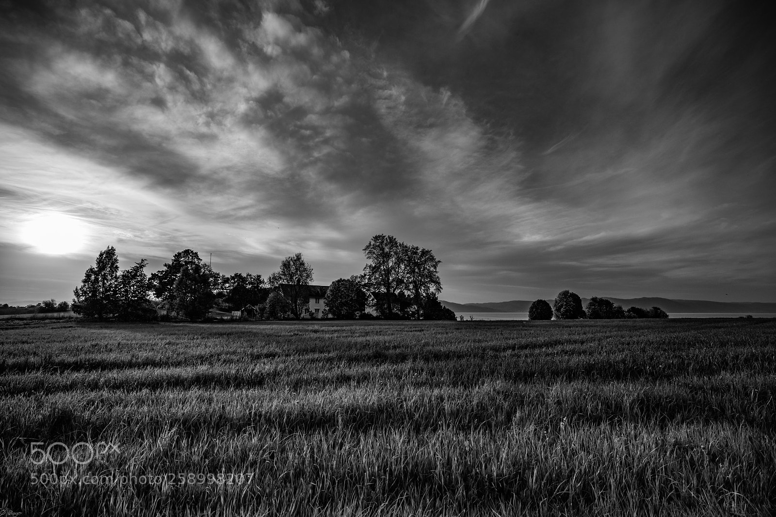 Canon EOS 5D Mark IV sample photo. Country side photography