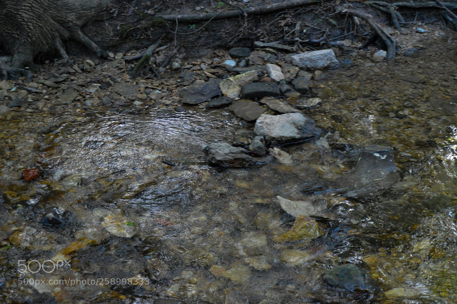 Nikon D3200 sample photo. Focus photography