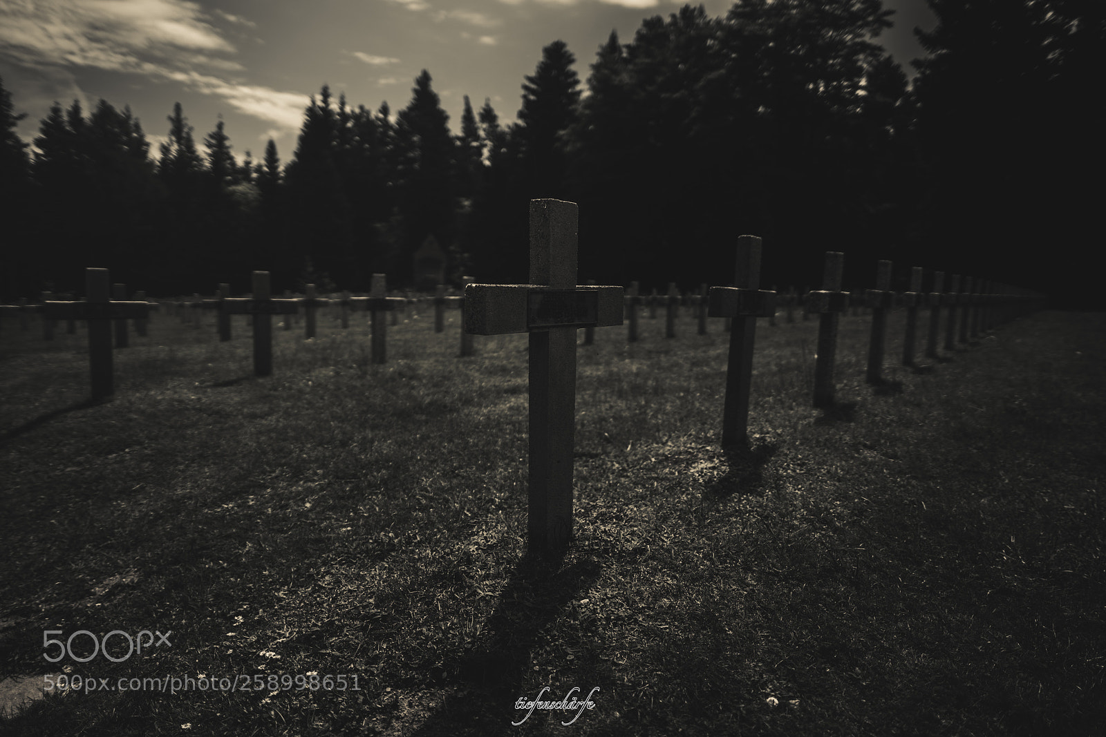 Sony a7R II sample photo. Untitled photography