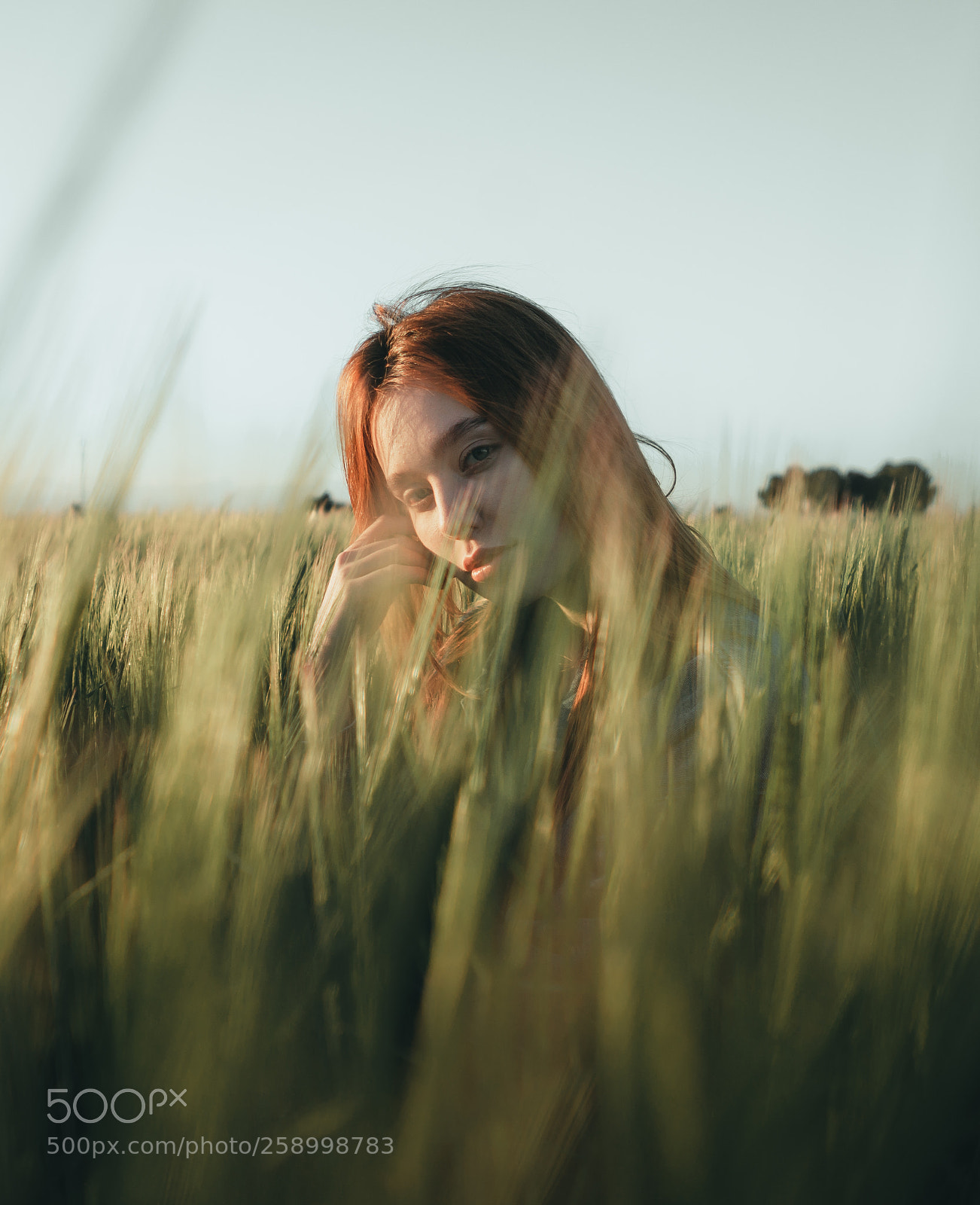 Sony a7 sample photo. Maria photography