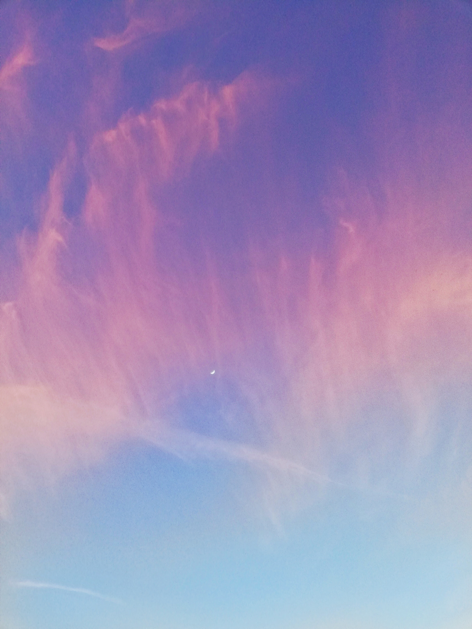 HUAWEI Mate 10 Lite sample photo. Purple photography