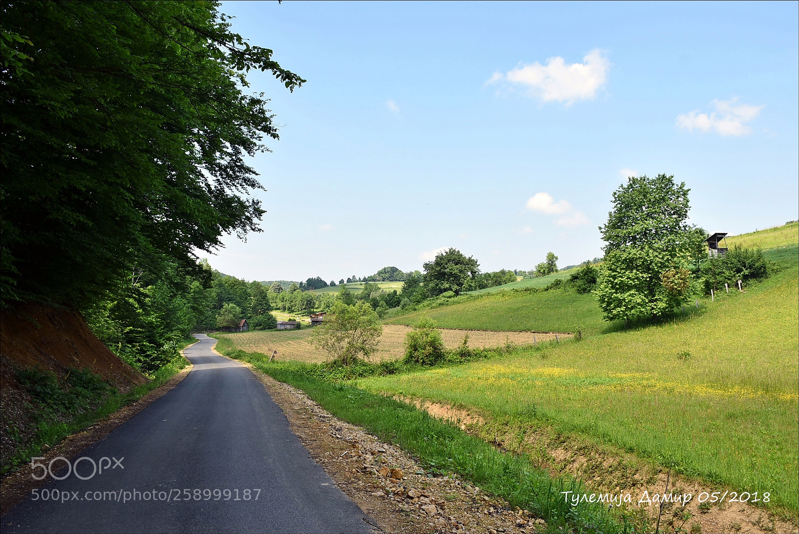 Nikon D7200 sample photo. Motajica photography