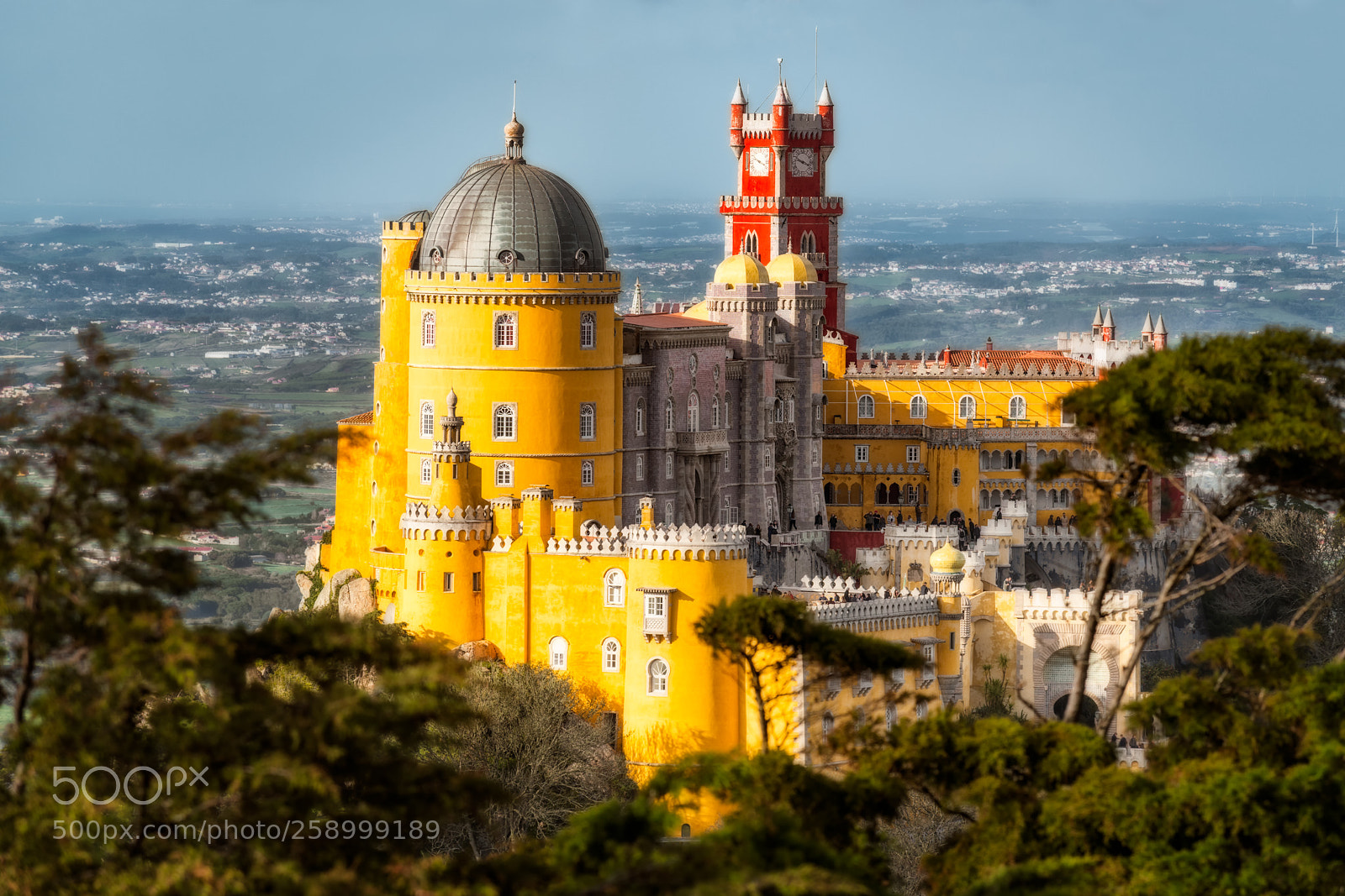 Nikon D850 sample photo. Pena palace sintra mountains photography