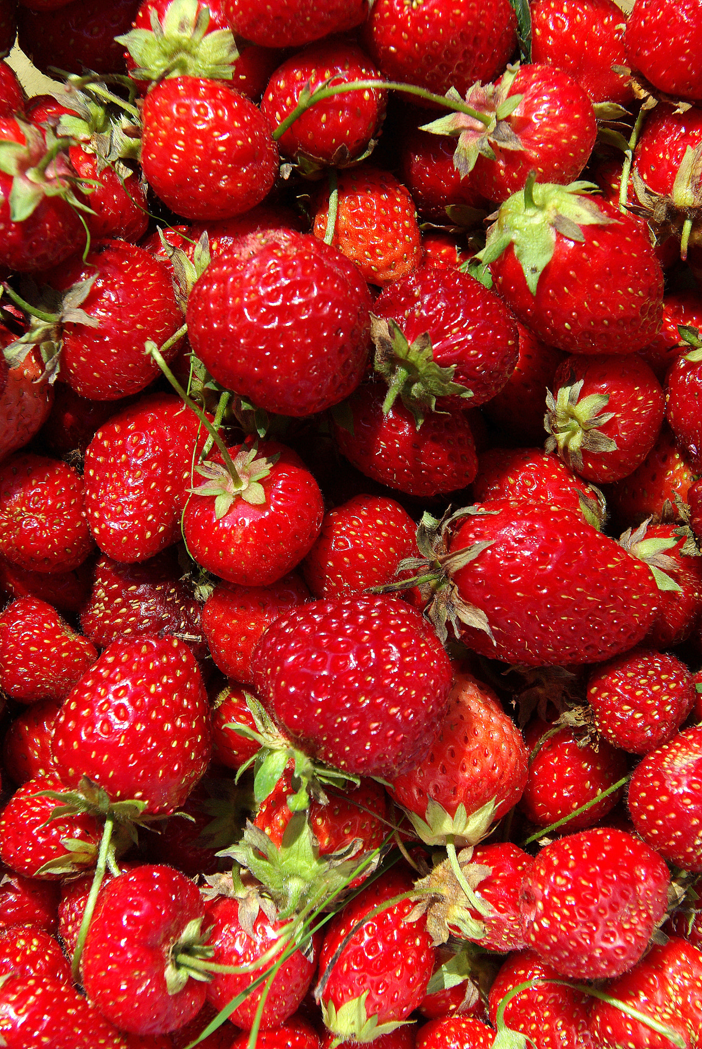 Pentax K200D sample photo. Strawberry photography