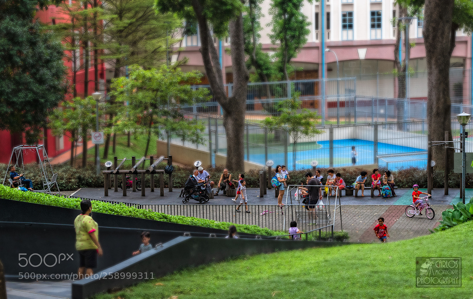 Canon EOS-1D X Mark II sample photo. After the school photography