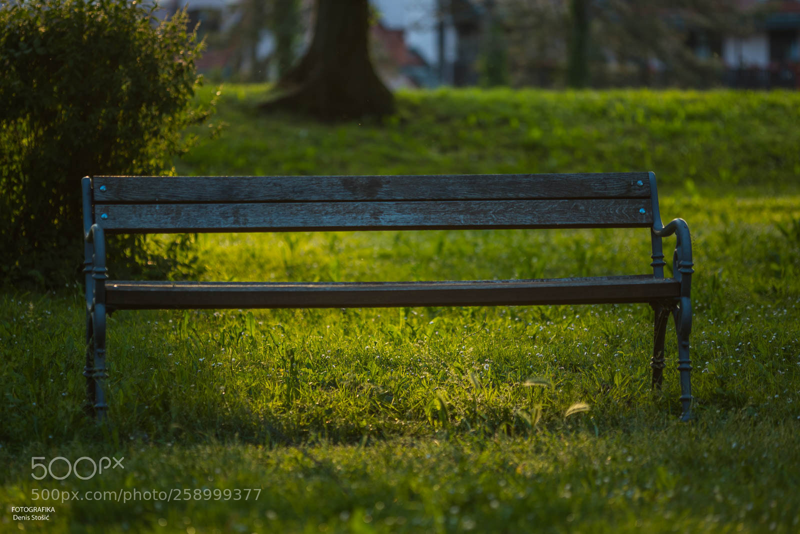 Nikon D750 sample photo. Details photography