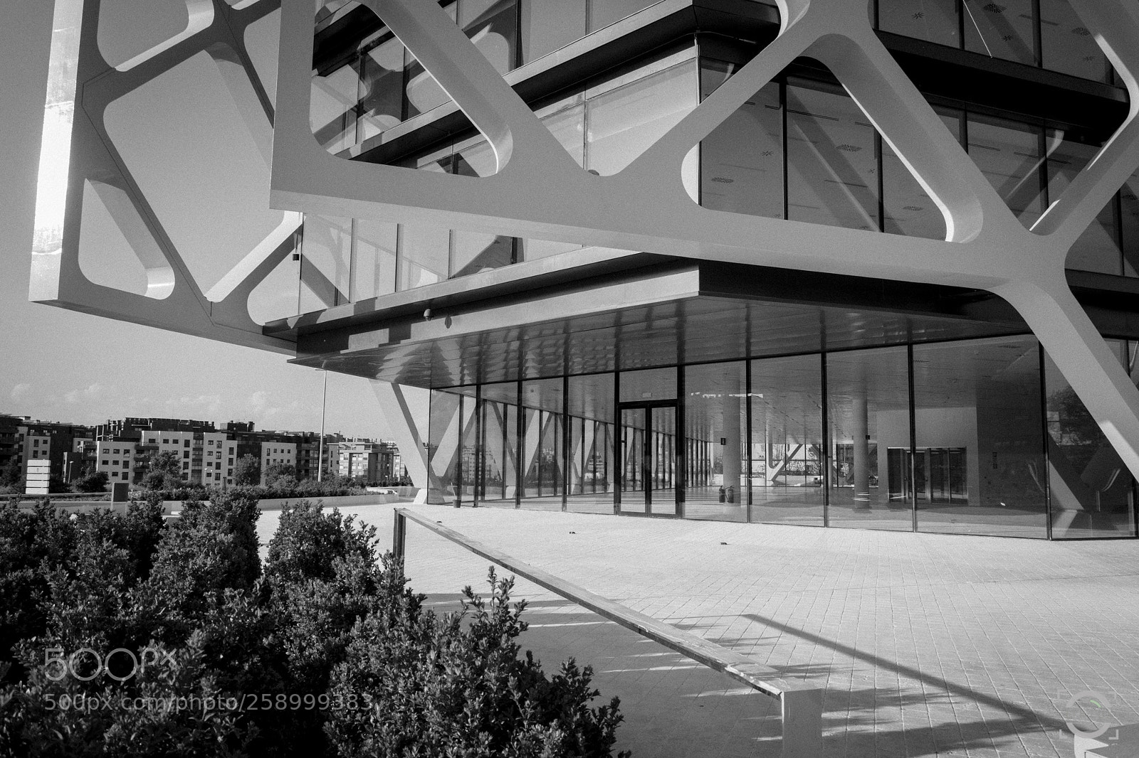 Nikon D7100 sample photo. Oxxeo bw photography