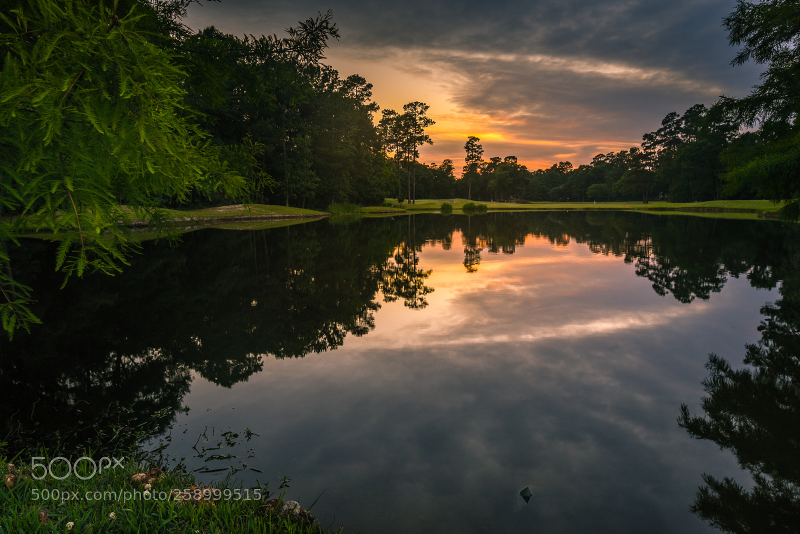 Nikon D750 sample photo. Palmer woods pond sunset photography