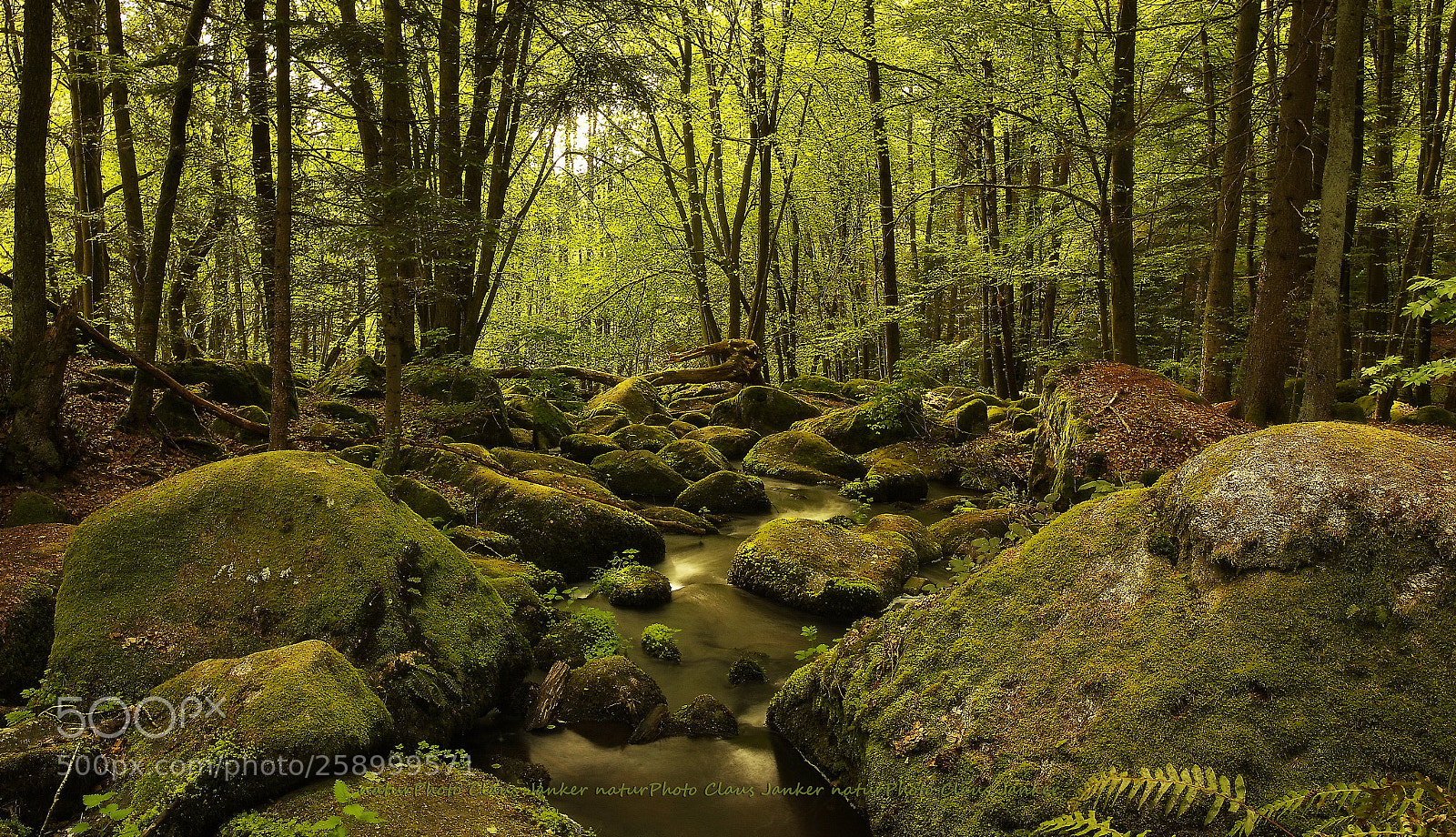 Canon EOS 70D sample photo. Im felsental des h photography