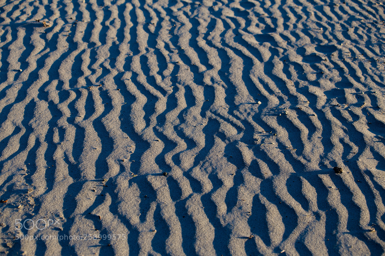 Canon EOS 6D sample photo. Lines in the sand photography