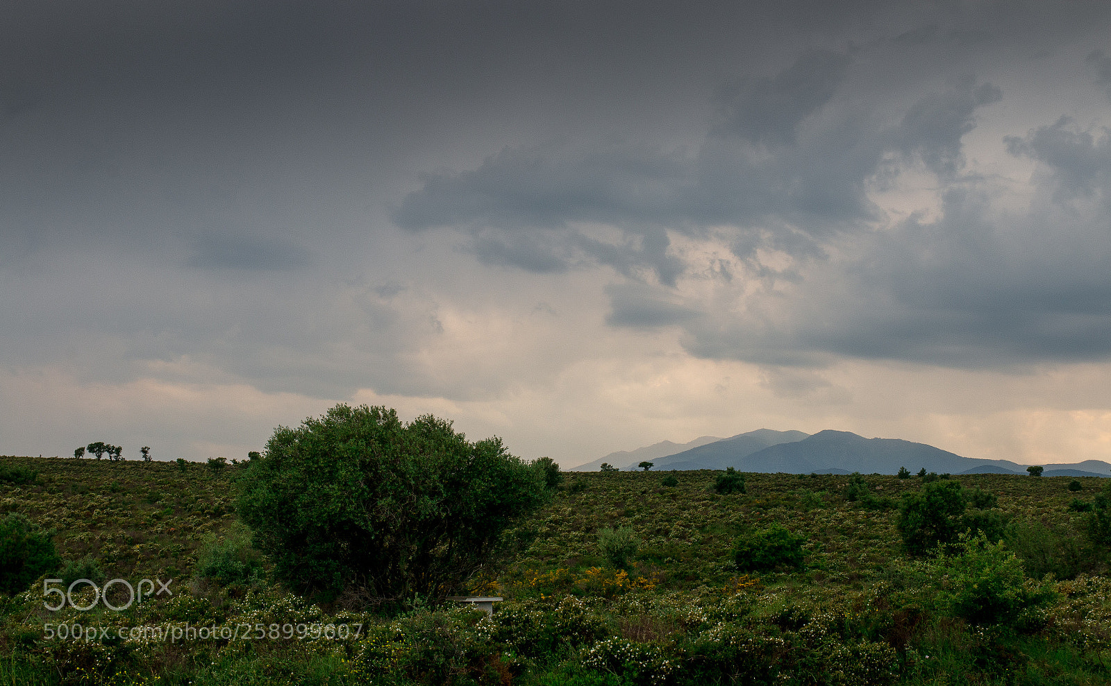 Canon EOS 70D sample photo. Stormy day photography